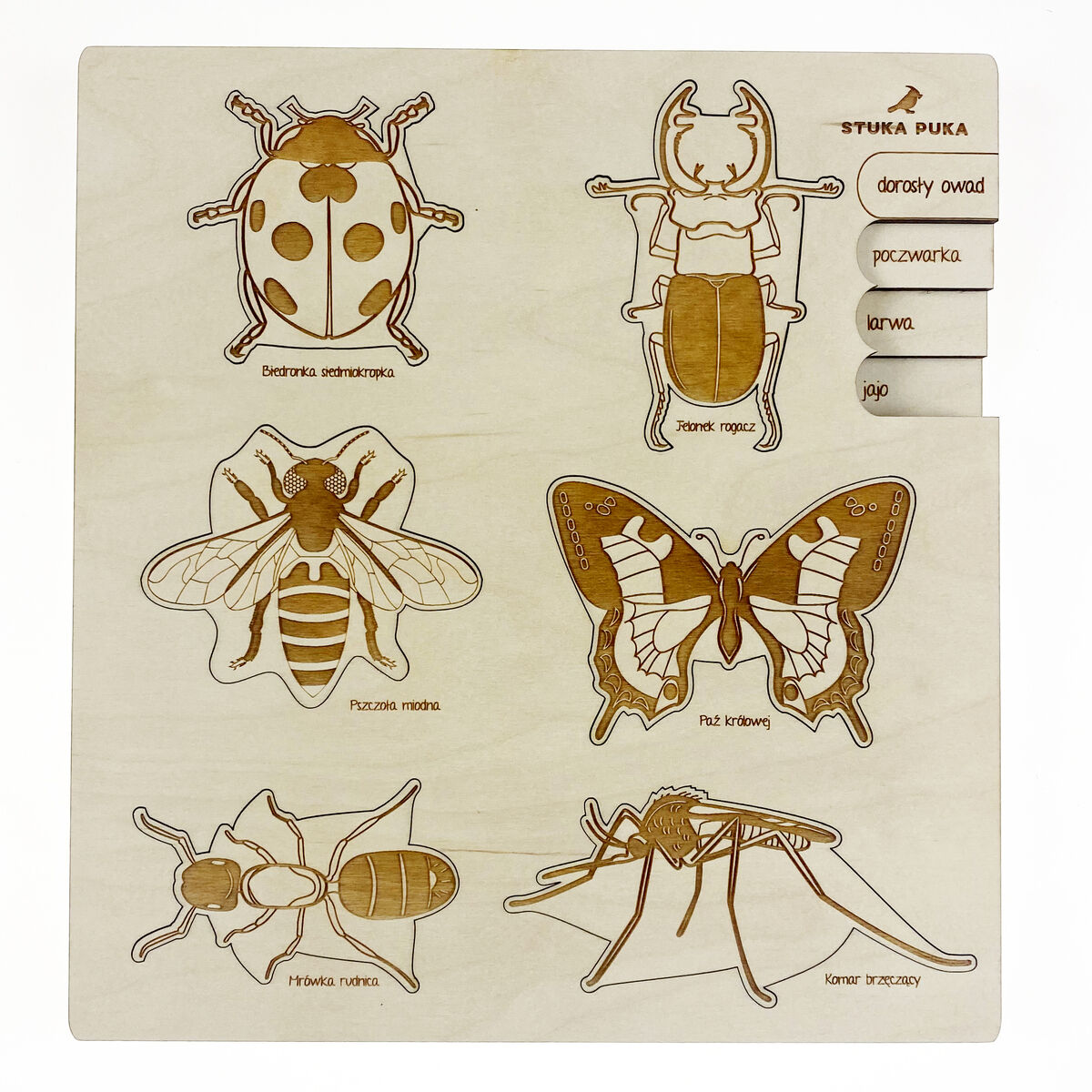 Ein Holzpuzzle mit sechs verschiedenen Insekten: einem Marienkäfer, einer Biene, einem Schmetterling, einer Libelle und zwei weiteren Käfern. Die Insekten sind detailreich in verschiedene Holzpuzzleformen geschnitzt.