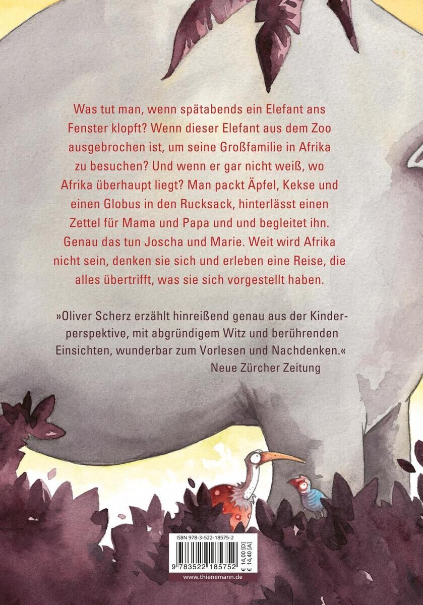 Das Bild zeigt die Rückseite eines Kinderbuches mit dem Titel 'Wir sind nachher wieder da, wir müssen kurz nach Afrika' von Oliver Scherz. Es ist eine Illustration eines Elefanten und einer Dschungellandschaft zu sehen. Ein Text gibt einen Überblick über die Geschichte, die von zwei Kindern und einem Elefanten erzählt, die nach Afrika reisen.