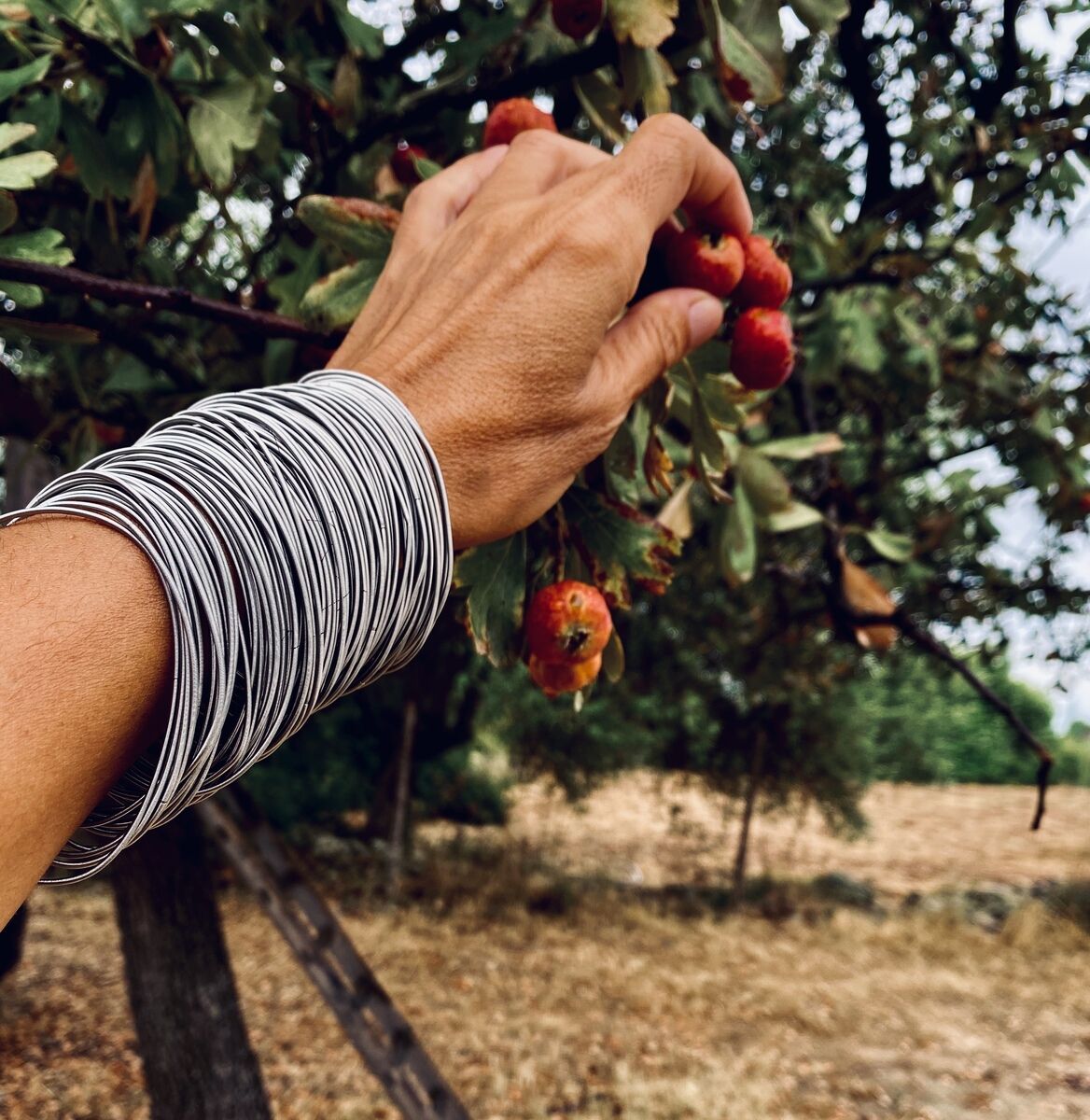 Nahaufnahme eines Arms, der ein aus mehreren gedrehten Edelstahlfedern bestehendes Armband trägt, während die Hand kleine rote Früchte von einem Baum pflückt. Im Hintergrund sind grüne Blätter und ein natürlicher Wald zu sehen.
