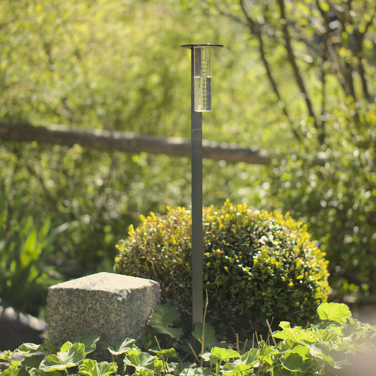 Ein Garten mit einer Wetter-Messstation, umgeben von Pflanzen und einem Busch. Die Messstation ist schlank und modern designt, mit einer Abdeckung oben.