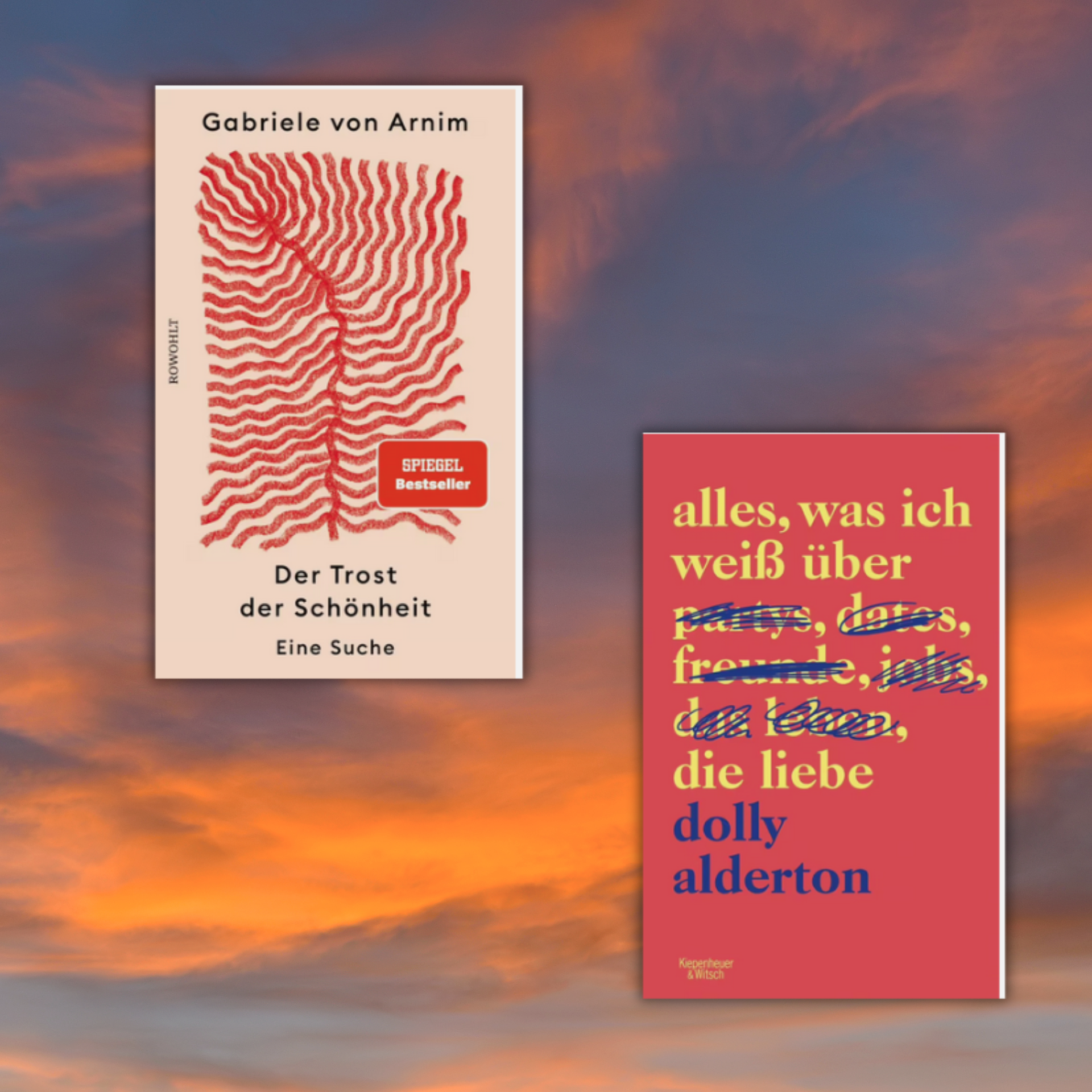 Link zur Kategorie Bücher für schwere Zeiten: Das Bild zeigt zwei Buchcover vor einem Sonnenuntergangshimmel. Links steht das Buch "Der Trost der Schönheit" von Gabriele von Arnim mit einem stilisierten roten Linienmuster auf beigem Hintergrund. Rechts ist das Buch "Alles, was ich weiß über die Liebe" von Dolly Alderton mit farbig markiertem Text auf blauem Cover.