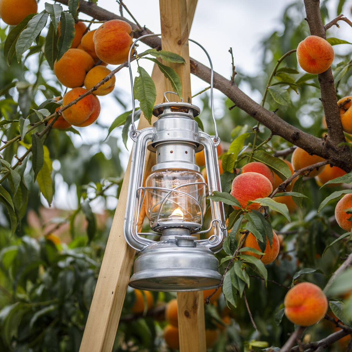 Eine zinkbeschichtete Sturmlaterne hängt an einem Holzgerüst, umrahmt von reifen orangefarbenen Früchten und grünen Blättern, mit einem weichen Licht, das im Inneren der Laterne leuchtet.