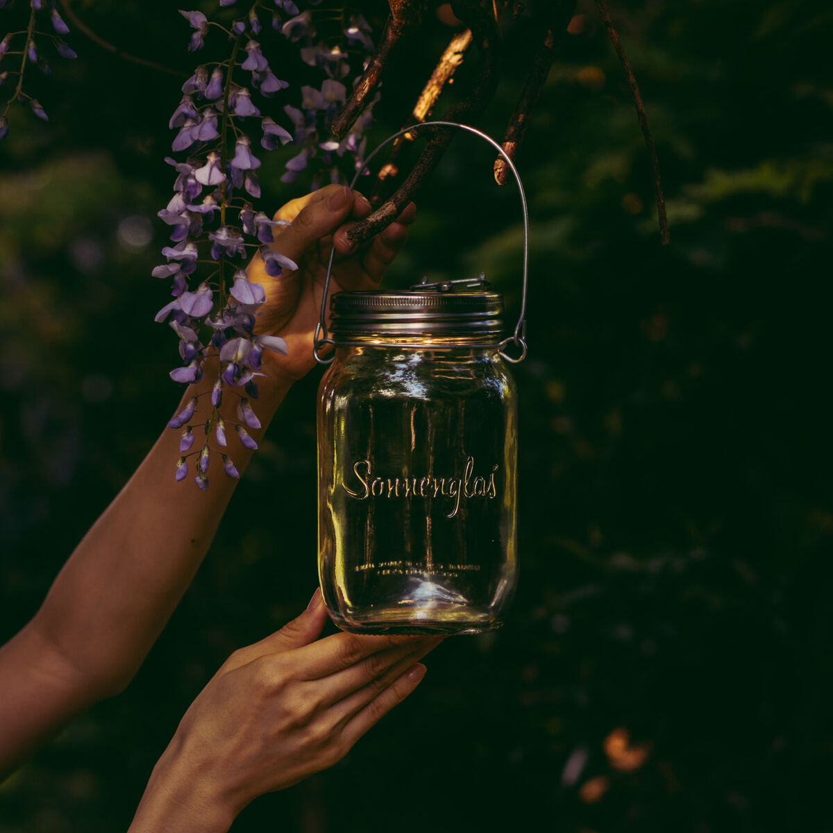 Ein Glas mit der Aufschrift 'Sonnenglas' und einem Metallgriff wird von zwei Händen gehalten. Es hängt an einem blühenden Wisteria-Zweig in einem grünen, laubgefüllten Garten und ist anscheinend in der Abenddämmerung aufgenommen.