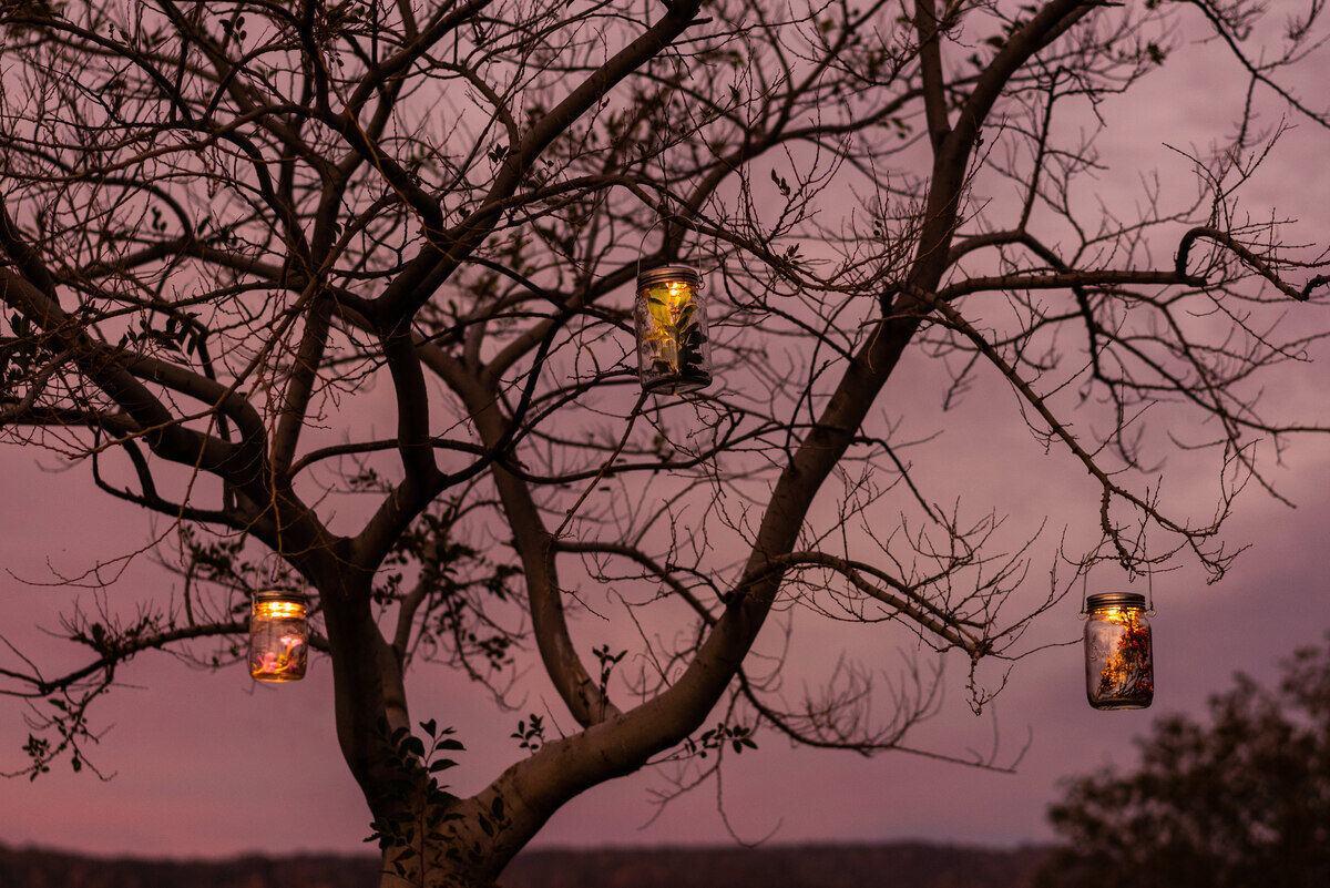 Vier Sonnenglas Classic Solarleuchten hängen in einem kahlen Baum bei Dämmerung. Der Himmel zeigt violette und orange Farbtöne.