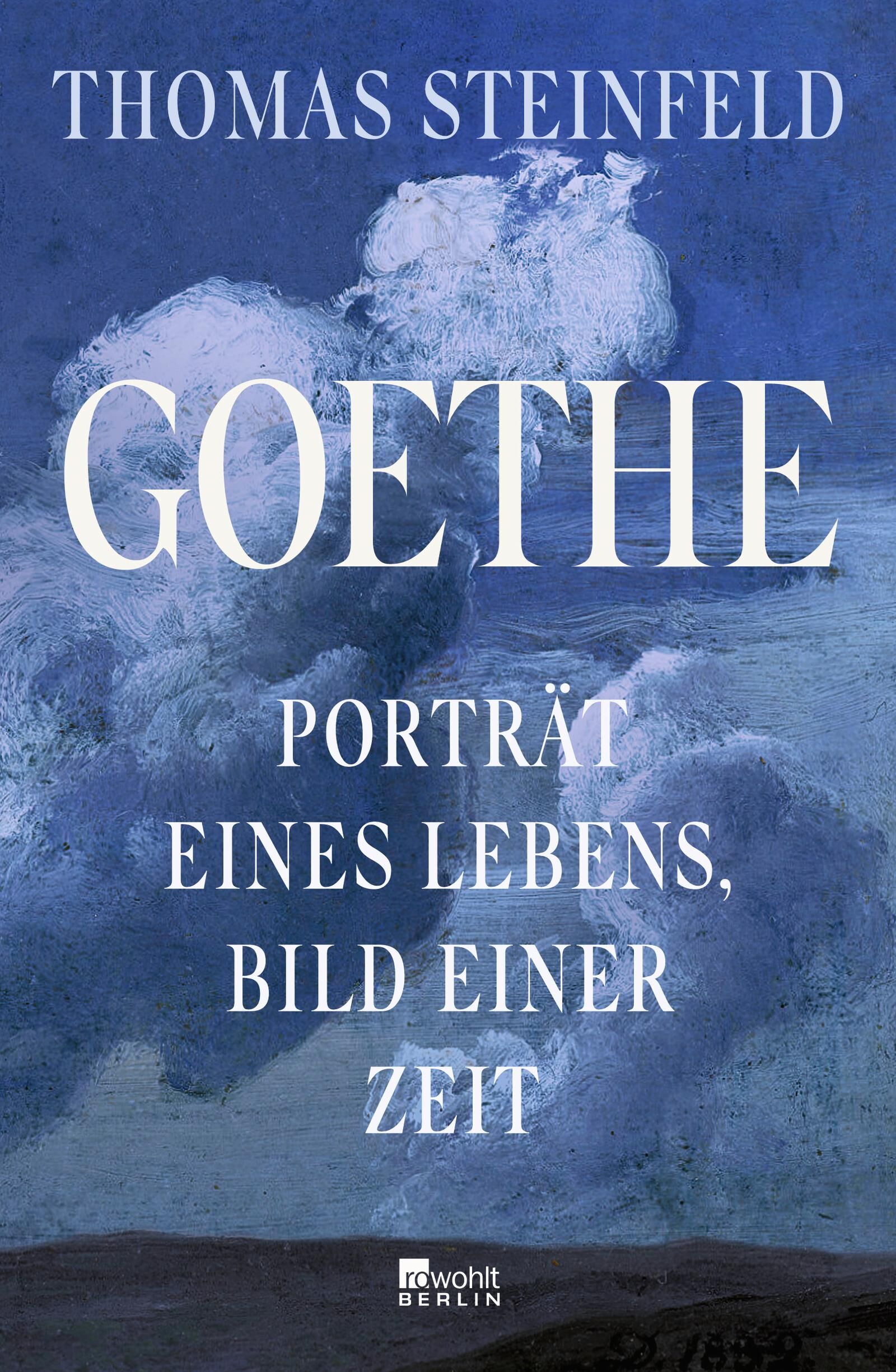 Cover Steinfeld, T: Goethe
