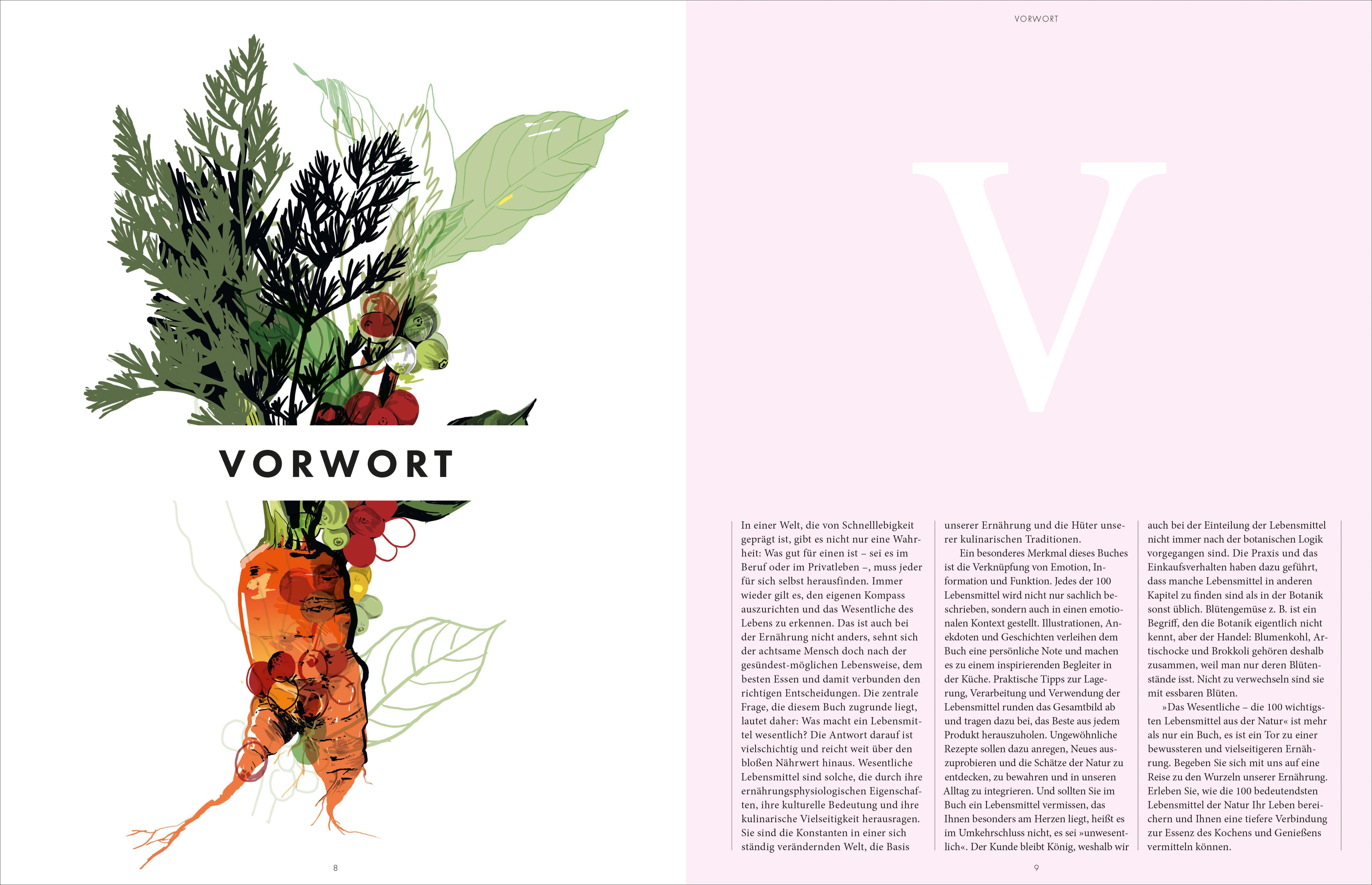 Innenansicht zu Schillings, R: Wesentliche