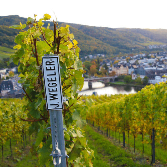 Blick auf einen Weinberg mit grünen Reben der Weingüter Wegeler, im Vordergrund ein Metallschild mit der Aufschrift "J. Wegeler"; im Hintergrund eine Flusslandschaft, hügelige Wälder und Ortschaften im warmen Licht.
