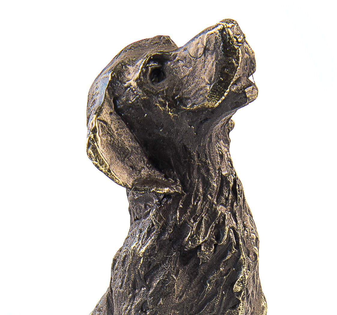 Freigestellte Skulptur »Treuer Begleiter« von Gerard: Ein sitzender Hund aus dunkel bronziertem Metallguss blickt aufmerksam mit leicht geöffnetem Maul nach oben. Das detailliert modellierte, rau strukturierte Fell zeigt goldbraune Glanzlichter; Schwanz und Pfoten liegen auf weißem Grund auf.