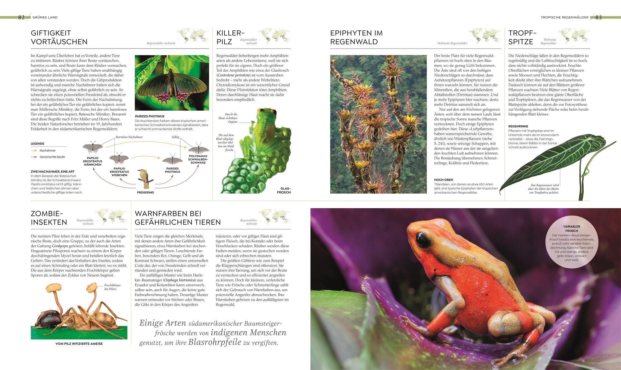 Innenansicht zu Asher, C: Wilde Welten