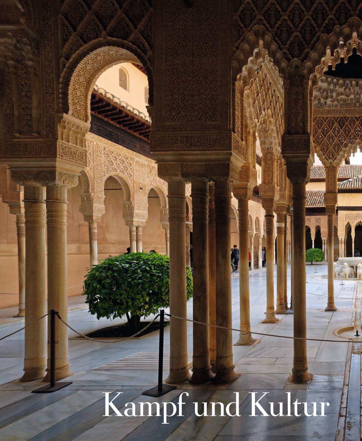 Blick in einen kunstvoll gestalteten Innenhof mit verzierten steinernen Säulen, feinen orientalischen Bögen und filigranen Mustern. In der Mitte steht ein grüner Strauch, Sonnenlicht fällt auf Marmorplatten am Boden. Im Hintergrund wirkt die Architektur offen und hell.