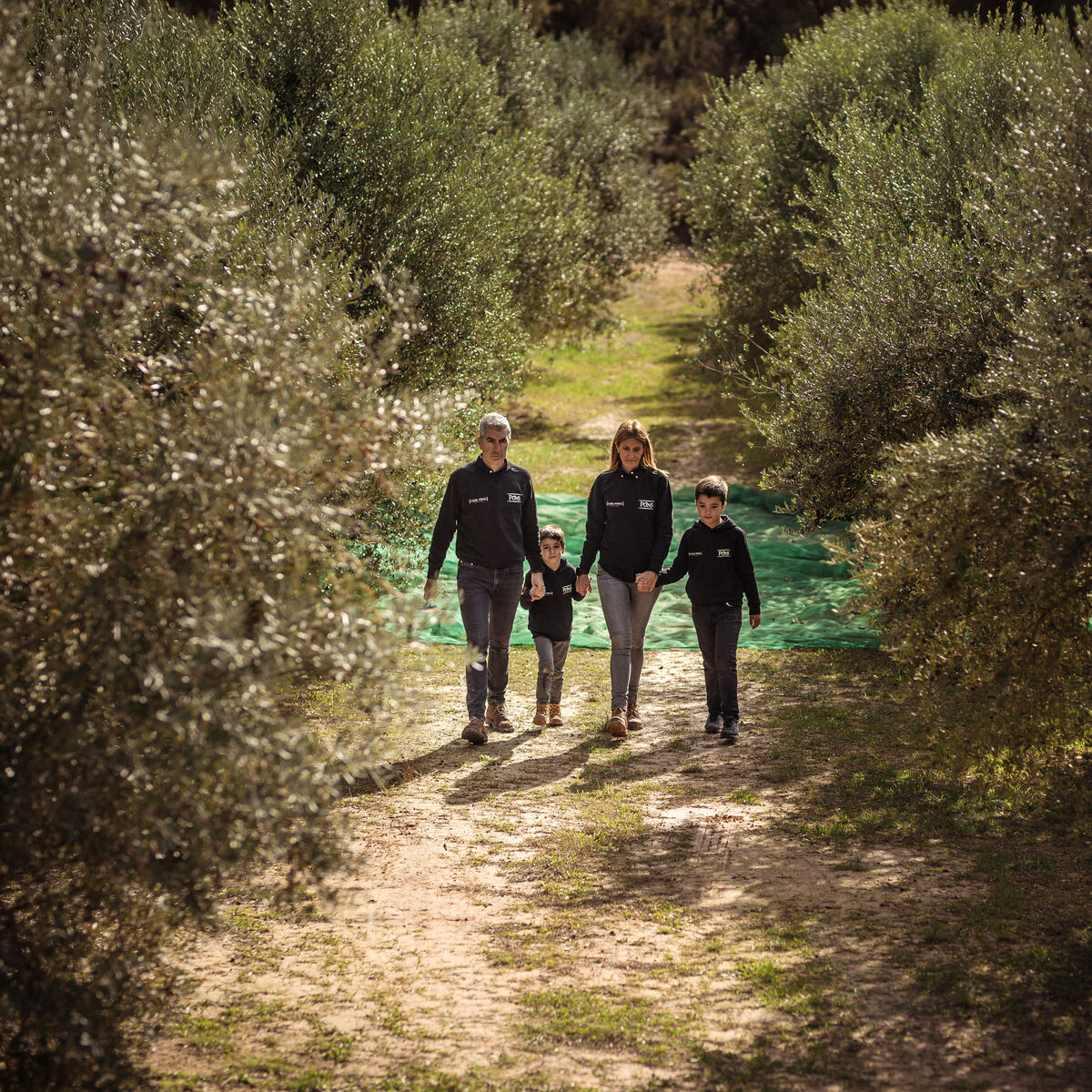Drei Olivenölflaschen der ZEIT-Sonderedition »Olivenöl« von ArteFakt stehen nebeneinander. Jede Flasche mit eigenem Etikettendesign in elegantem Schwarz, Grün und Weiß. Der Hintergrund ist schlicht. Die Etiketten zeigen Details zu Herkunft und Edition.