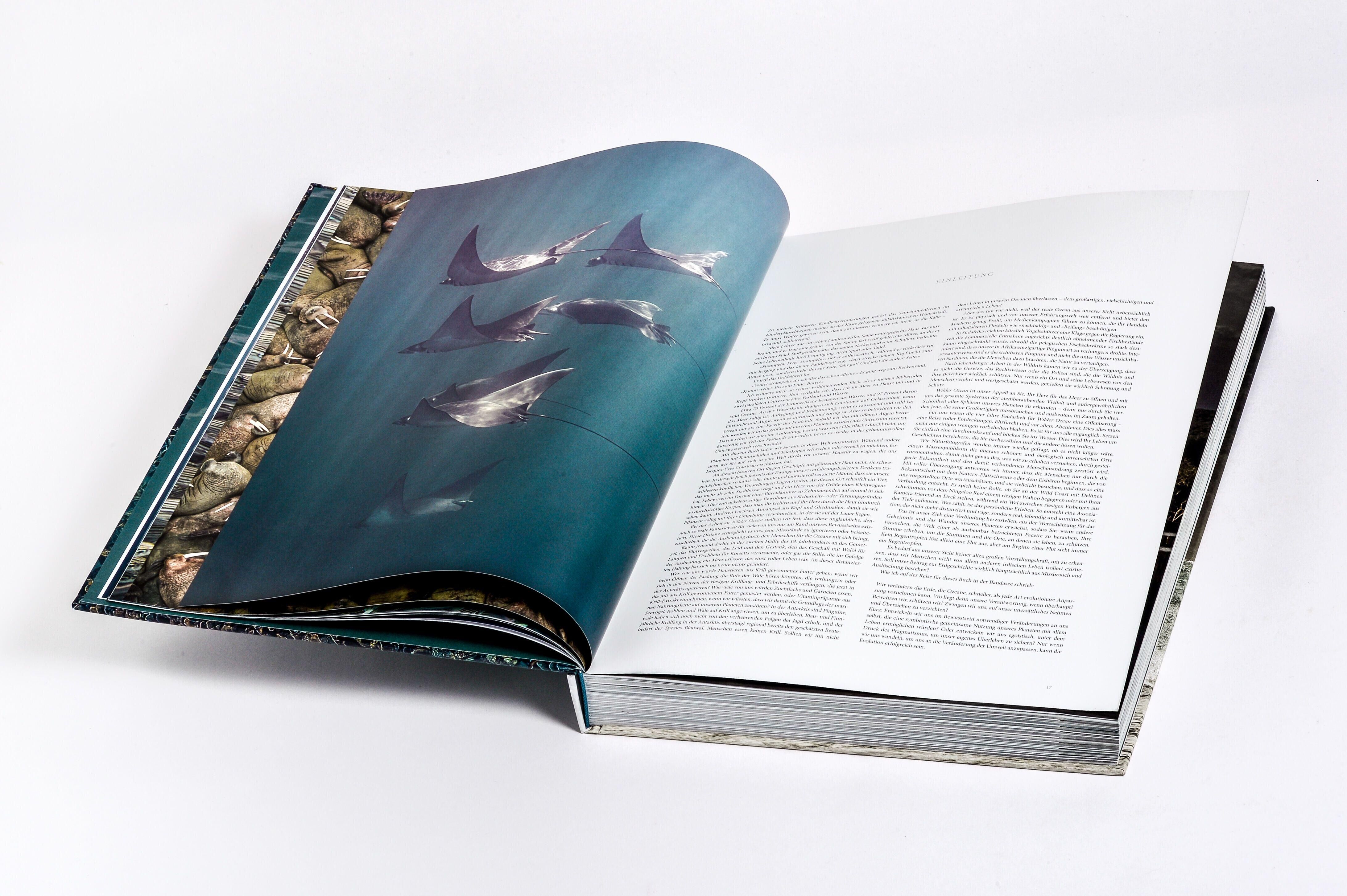 Innenansicht zu Pickford, P: Wilder Ozean