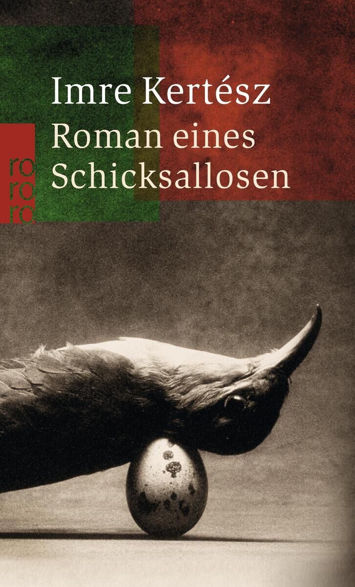 Das Buchcover von 'Roman eines Schicksallosen' von Imre Kertesz zeigt eine dunkle Statue, eine Ei-Skulptur und hat einen grün-roten Hintergrund. Die Schrift ist weiß. Der Verlag Rororo ist auf dem Cover sichtbar.