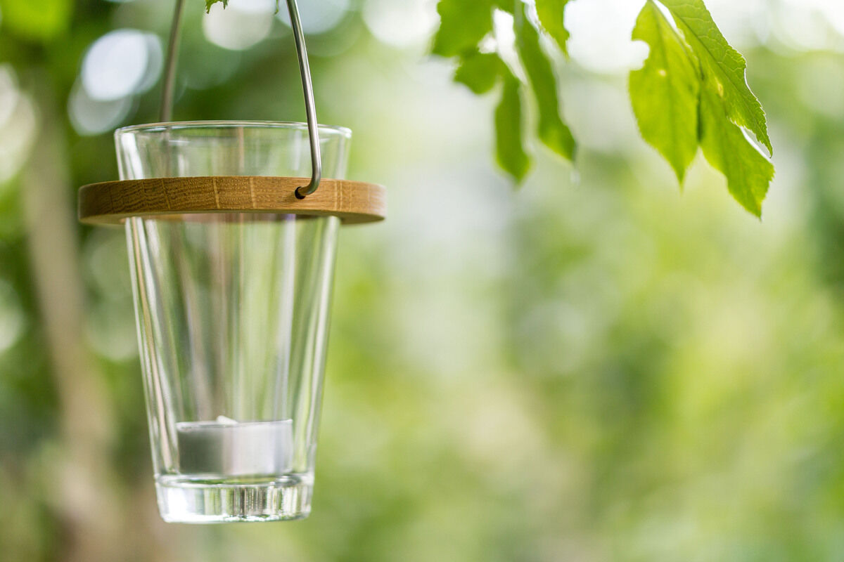 Ein Windlicht mit einem Glasbehälter und einem Bambusring hängt an einem Metallhenkel. Im Hintergrund sind unscharfe grüne Blätter zu sehen.