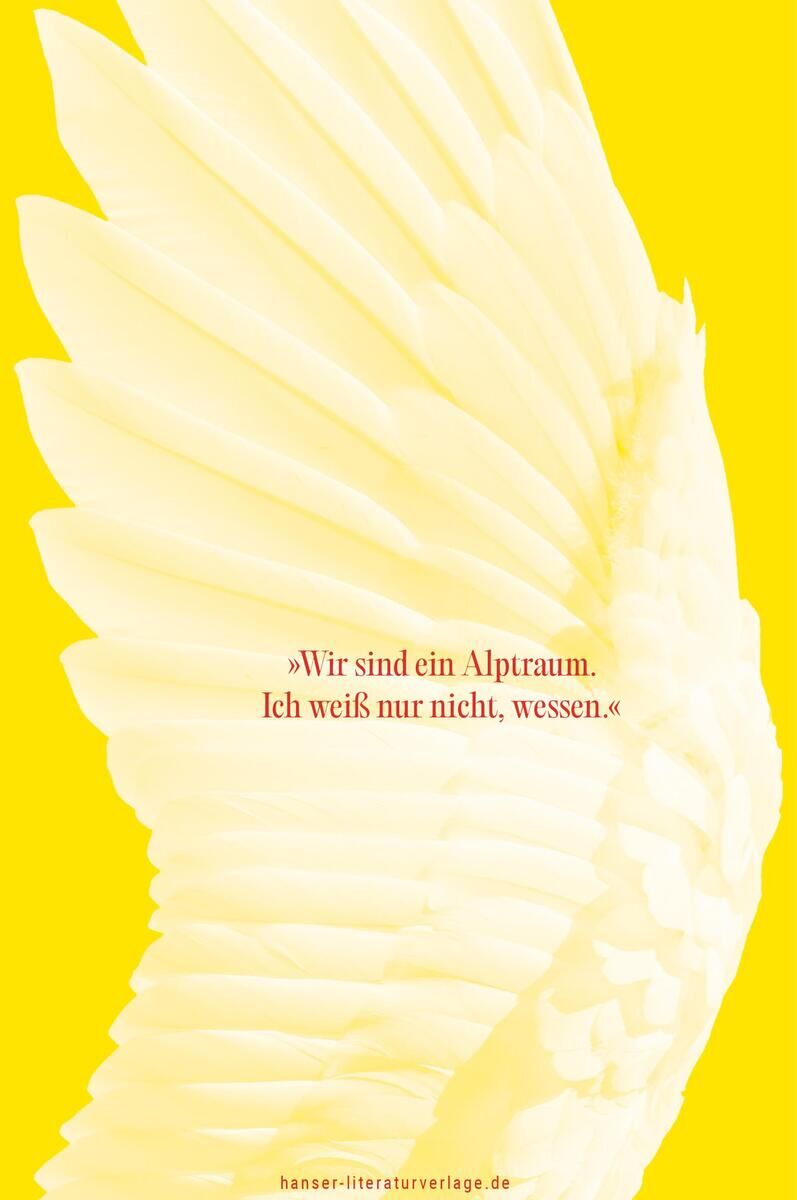 Innenansicht zu Khani, B: Als wir Schwäne waren