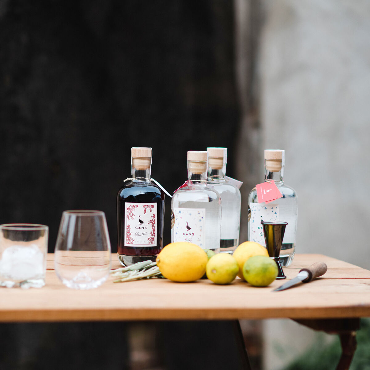 Ein Holztisch mit Gin-Flaschen der Marke GANS, Gläsern mit Eiswürfeln und Zitronen sowie weiteren Barutensilien.