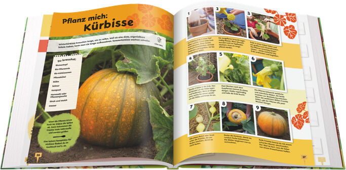 Ein aufgeschlagenes Buch mit farbigen Illustrationen und Anleitungen für das Pflanzen von Kürbissen. Die Seiten zeigen Bilder von Kürbissen, Pflanzen und verschiedenen Schritten des Gartenprozesses. Das Buch trägt den Titel "Pflanz mich: Kürbisse".