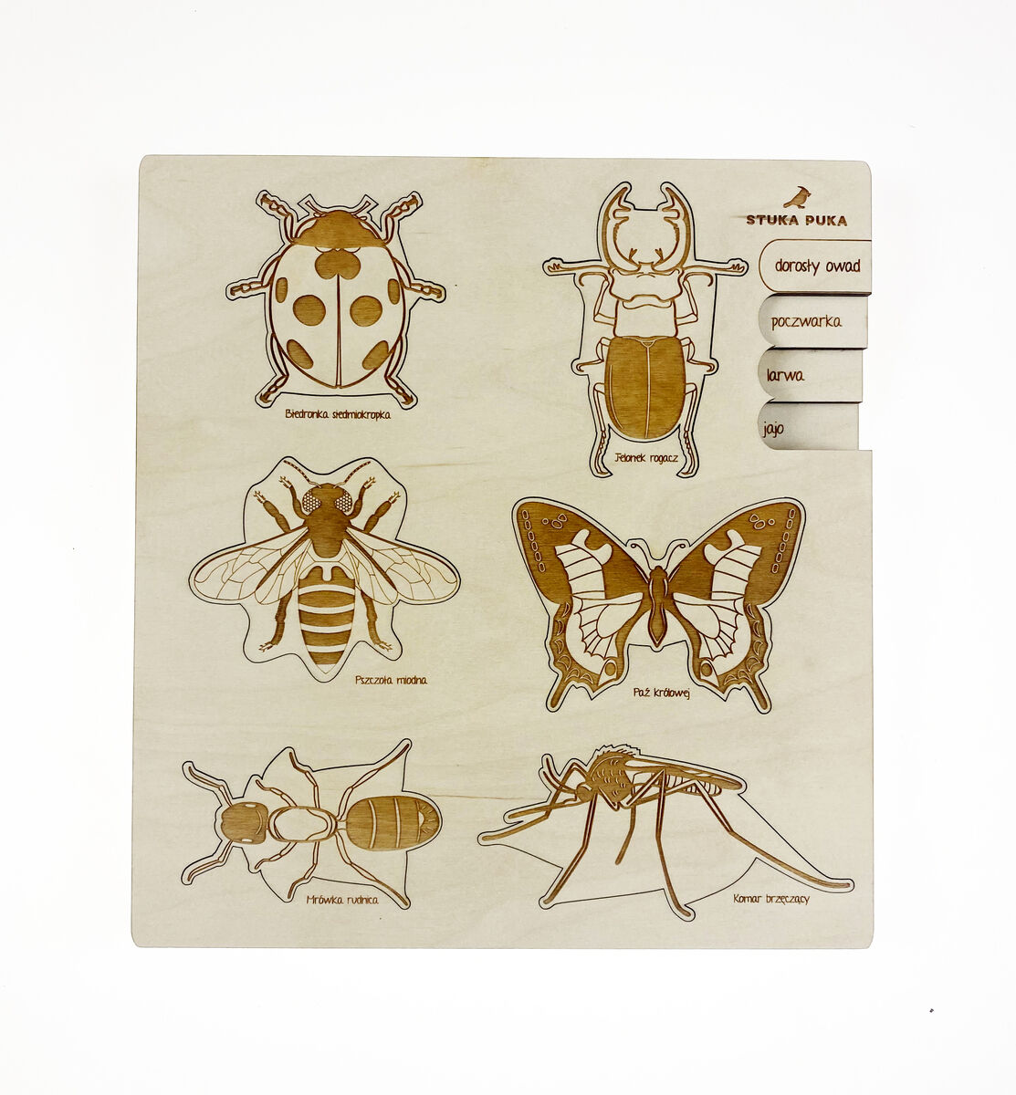Ein Holzpuzzle mit sechs verschiedenen Insekten: einem Marienkäfer, einer Biene, einem Schmetterling, einer Libelle und zwei weiteren Käfern. Die Insekten sind detailreich in verschiedene Holzpuzzleformen geschnitzt.