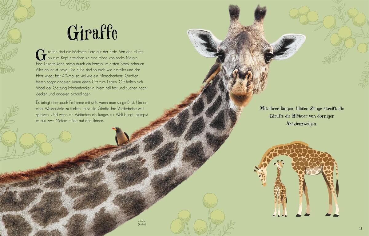 Eine liebevoll illustrierte Giraffe in einem Buch namens 'Wundervolle Welt der Tiere'. Die Seiten zeigen eine große Giraffe, einen Vogel auf ihrem Rücken und zwei kleinere Giraffen unten auf der Seite. Der Hintergrund der Illustration ist grün.