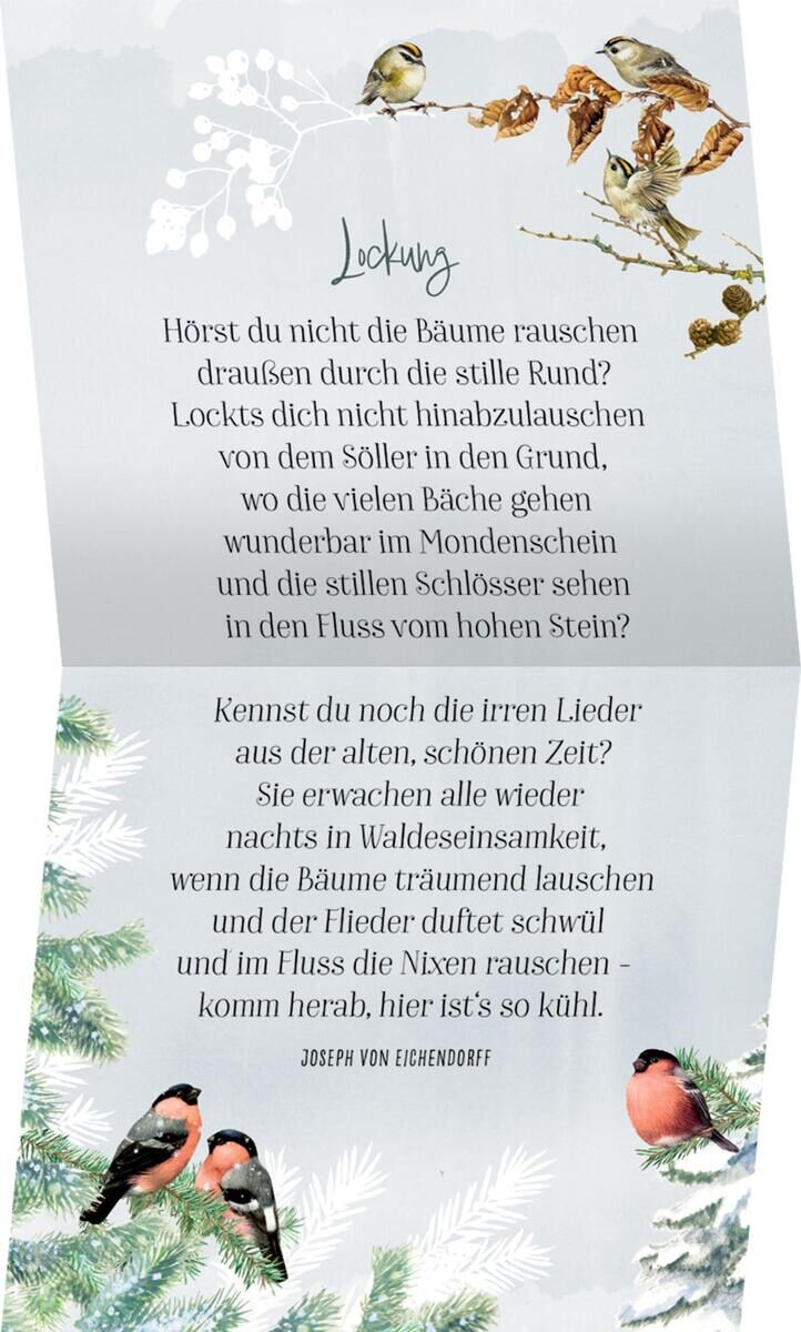 Innenansicht zu Coffee-Table-Adventskalender - Zauberhafte Weihnachtszeit