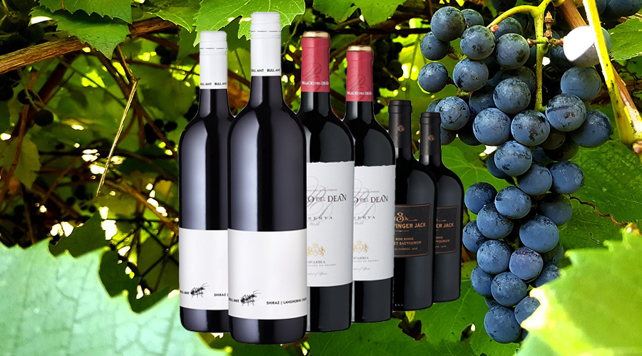 Sechs Flaschen Rotwein vor einem Hintergrund mit grünen Blättern und blauen Trauben