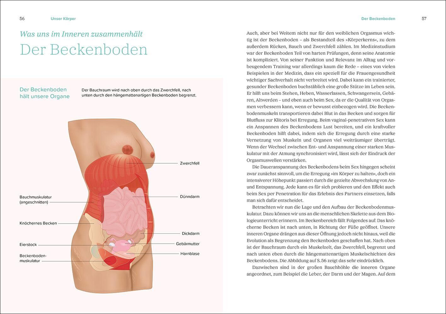 Innenansicht zu Mangler, M: Das große Gynbuch