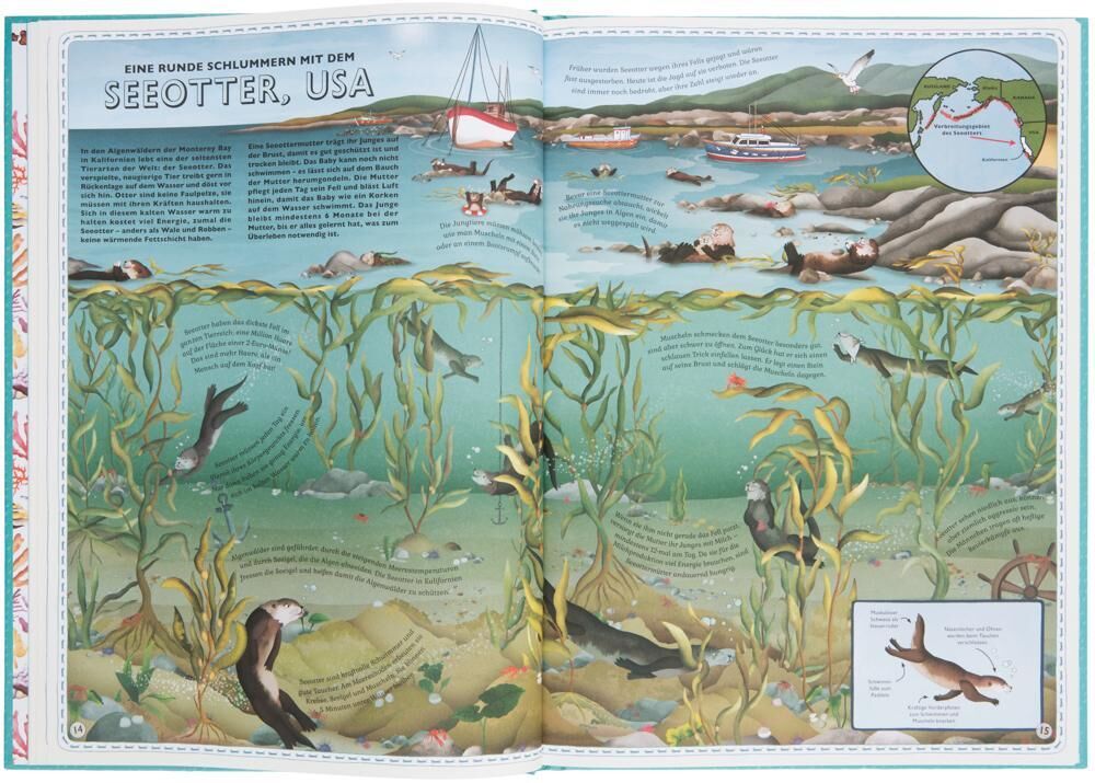 Eine aufgeschlagene Doppelseite des Buches 'Der Atlas der Ozeane', die eine Illustration von Seeottern in den USA zeigt. Man sieht verschiedene Seeotter, die durch Kelpwälder schwimmen, sowie einige kleine Karten und erklärende Texte.
