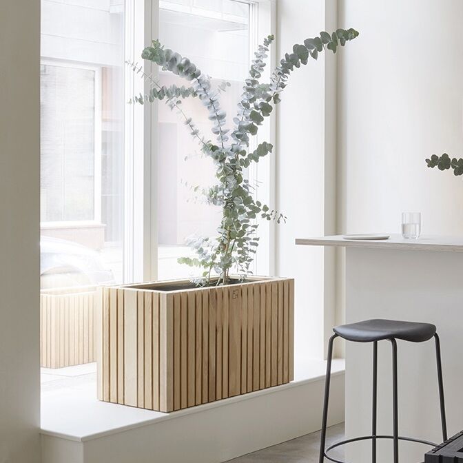Minimalistisches Wohnzimmer mit großen Fenstern. Ein modernes Pflanzgefäß aus Holz, genannt 'GrowWIDE', steht auf der Fensterbank mit einer großen Eukalyptus-Pflanze. Ein schwarzer Barhocker steht neben einer weißen Theke.