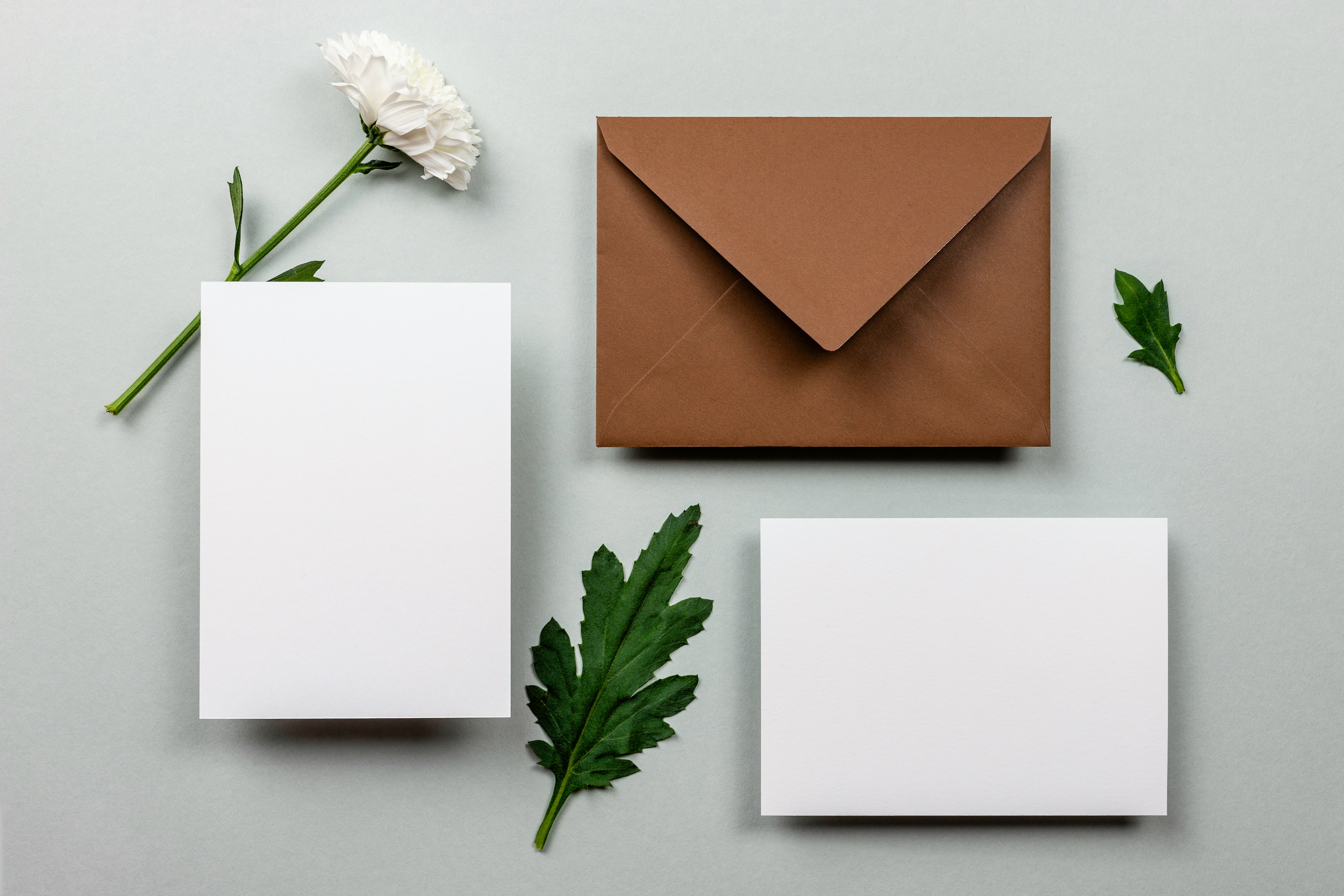 alt="Briefpapier-Set auf einem Tisch ausgebreitet bestehend aus Umschlag und Briefpapier dazwischen ein paar atmosphärische Pflanzenblätter"