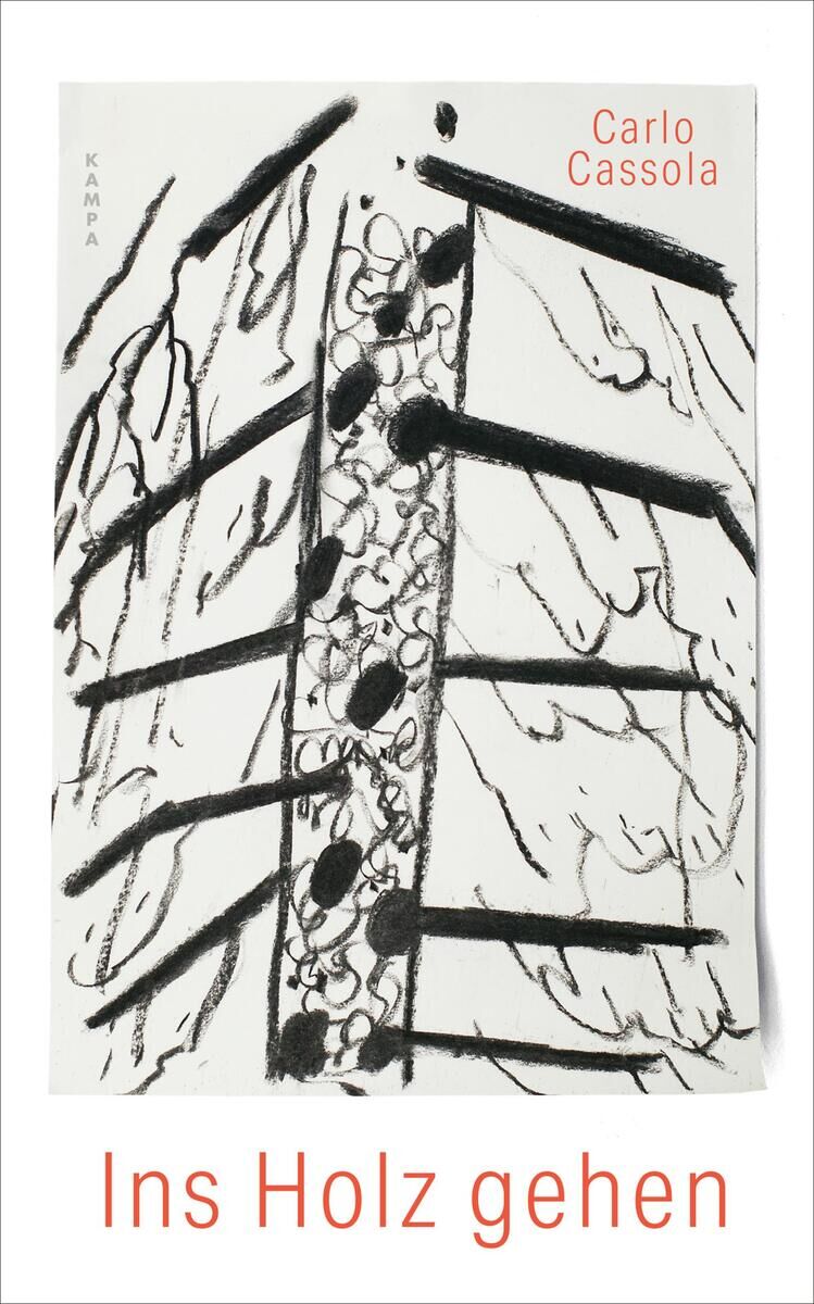 Cover Cassola, C: Ins Holz gehen