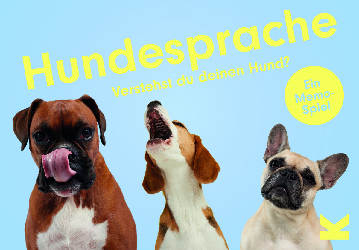 Das Memo-Spiel »Hundesprache - Verstehst du deinen Hund?« zeigt drei verschiedene Hunde auf einem hellblauen Hintergrund. Links ist ein Boxer, in der Mitte ein Beagle, und rechts ein französischer Bulldogge, dazu steht in großen, gelben Buchstaben der Titel des Spiels und ein runder, gelber Button mit der Aufschrift 'Ein Memo-Spiel'.