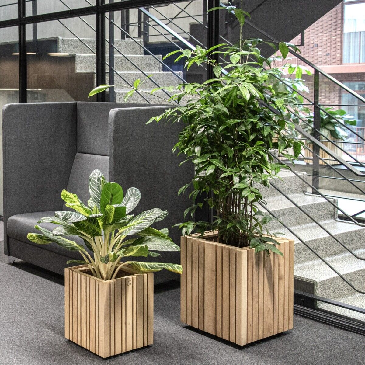 Das Bild zeigt zwei Pflanzgefäße »GrowBIG« aus Holz mit grünen Zimmerpflanzen in einem modernen Innenraum. Im Hintergrund ist eine graue Couch und eine Treppe sichtbar.