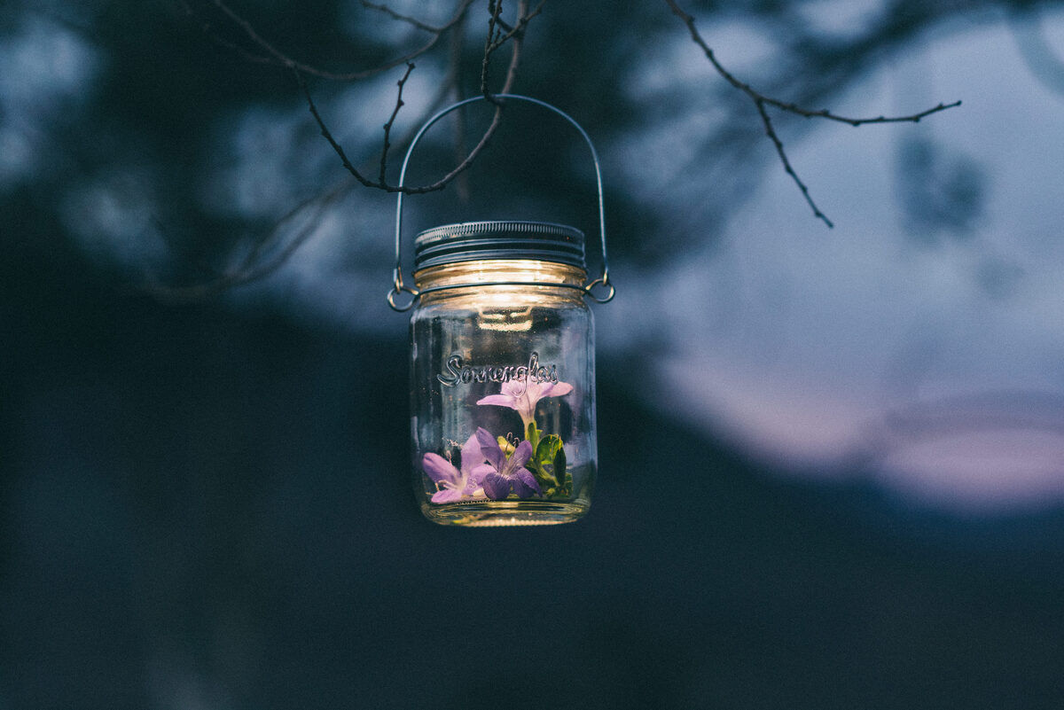 Ein Glas mit einem Solarlicht, bekannt als Sonnenglas, hängt an einem Ast. Im Inneren des Glases sind lila Blumen zu sehen. Der Hintergrund ist dunkel und unscharf, was auf die Nacht oder den frühen Abend hinweist.