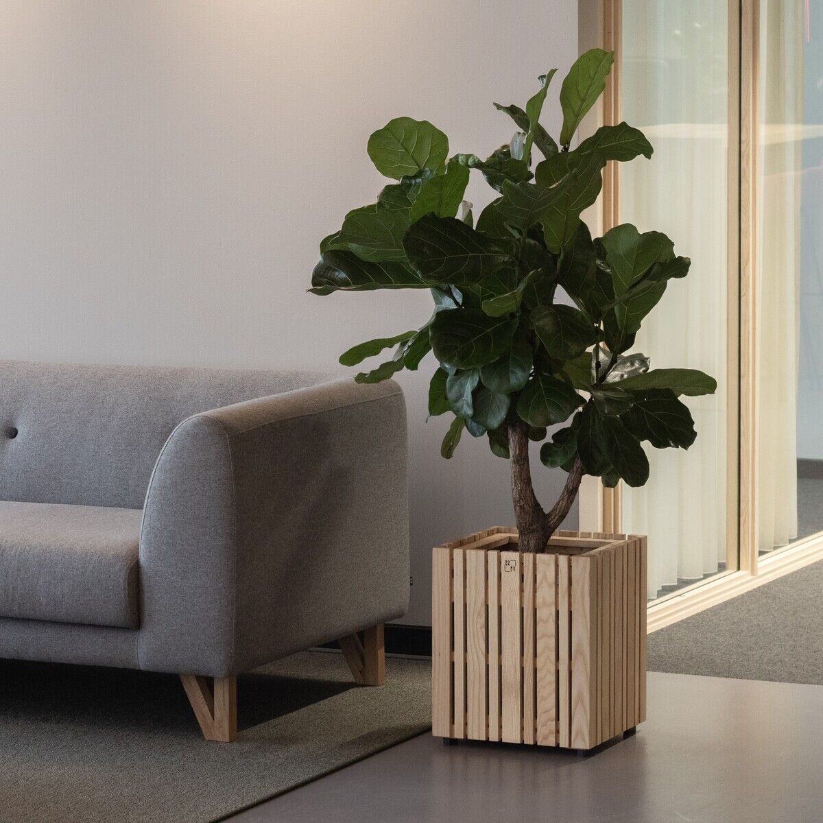 Ein modernes Pflanzgefäß »GrowMORE« mit einer großen Zimmerpflanze darin steht neben einem grauen Sofa in einem stilvoll eingerichteten Raum. Der Pflanzenhalter besteht aus naturbelassenem Holz und verleiht dem Raum eine natürliche und minimalistische Atmosphäre.