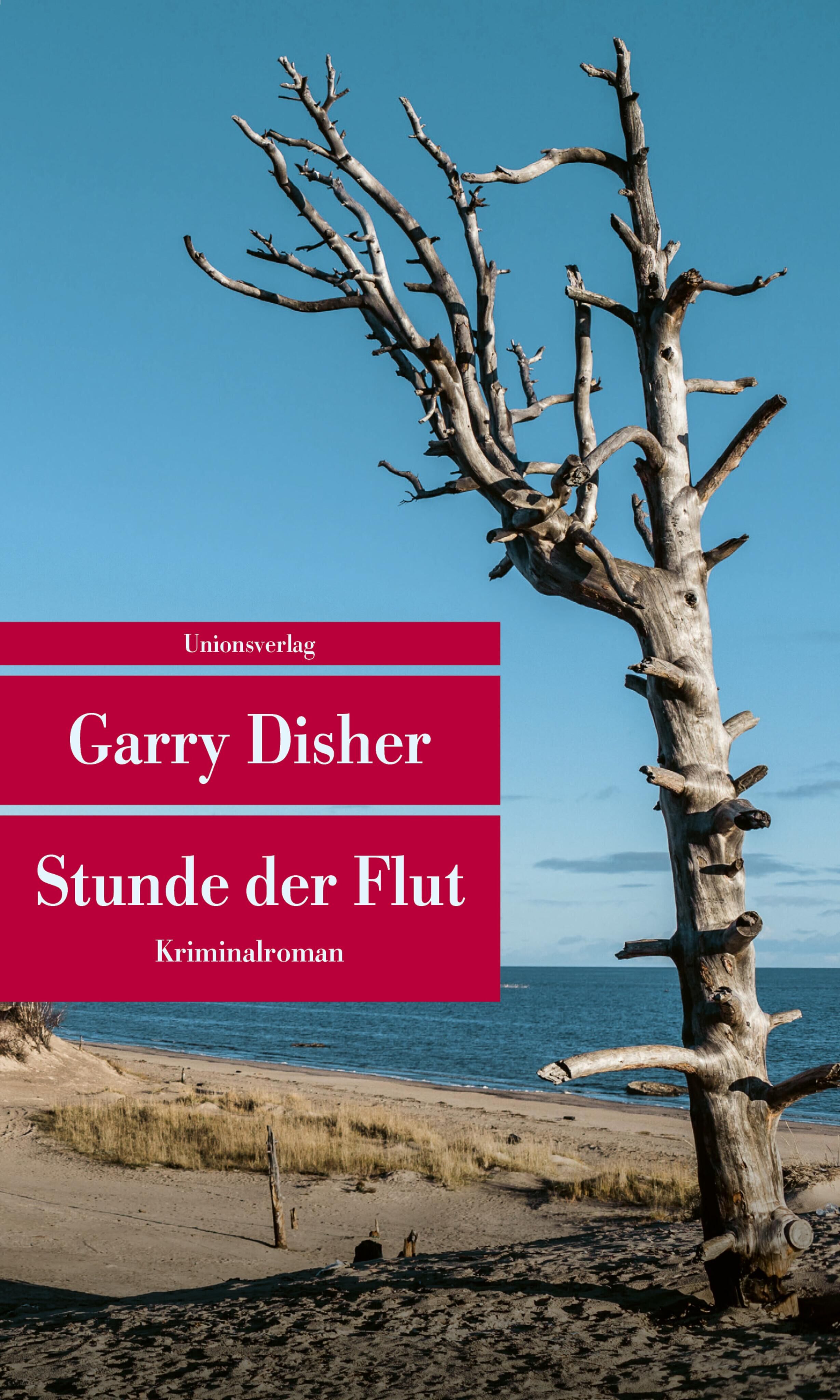 Cover Disher, G: Stunde der Flut