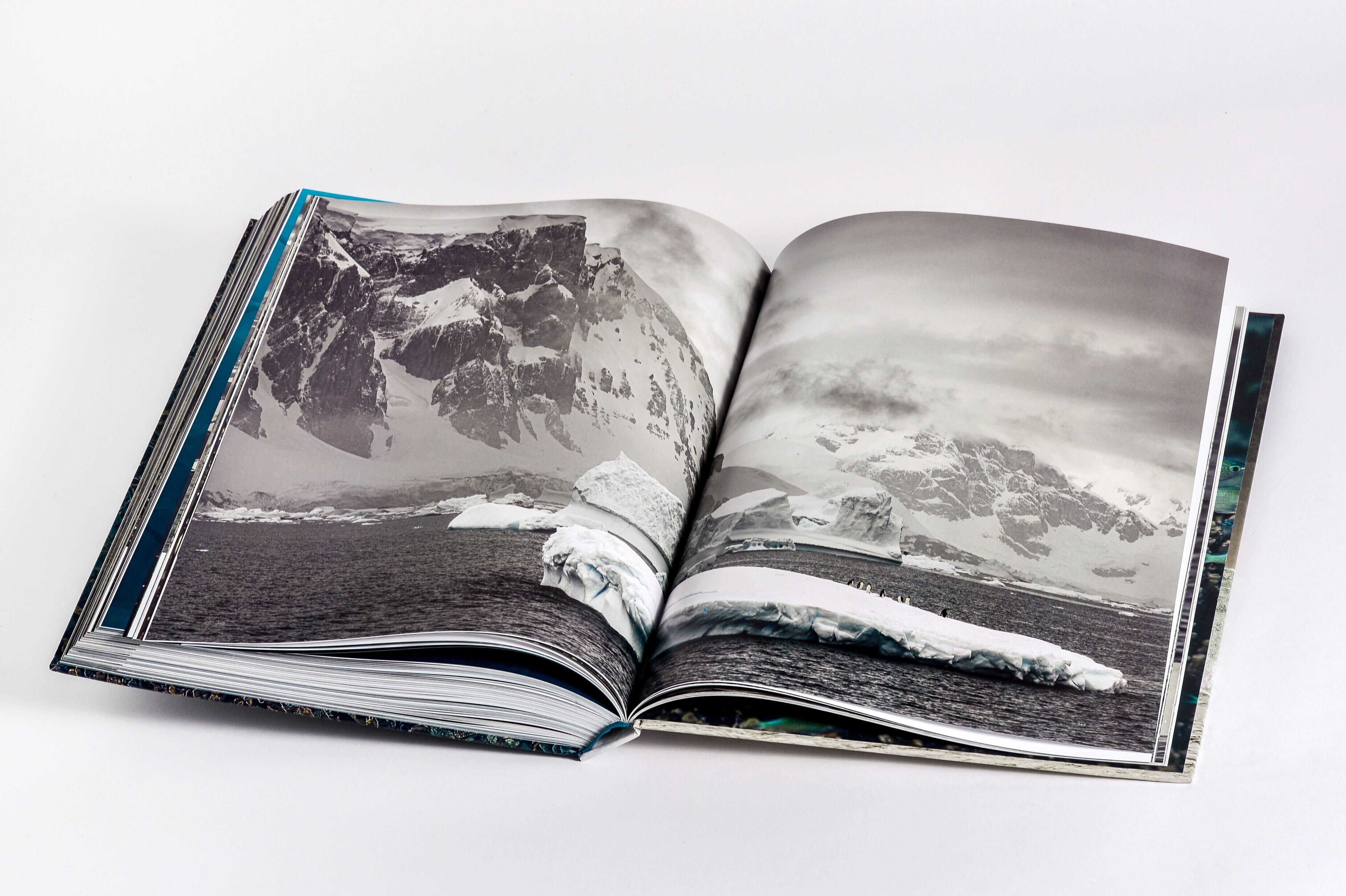 Innenansicht zu Pickford, P: Wilder Ozean