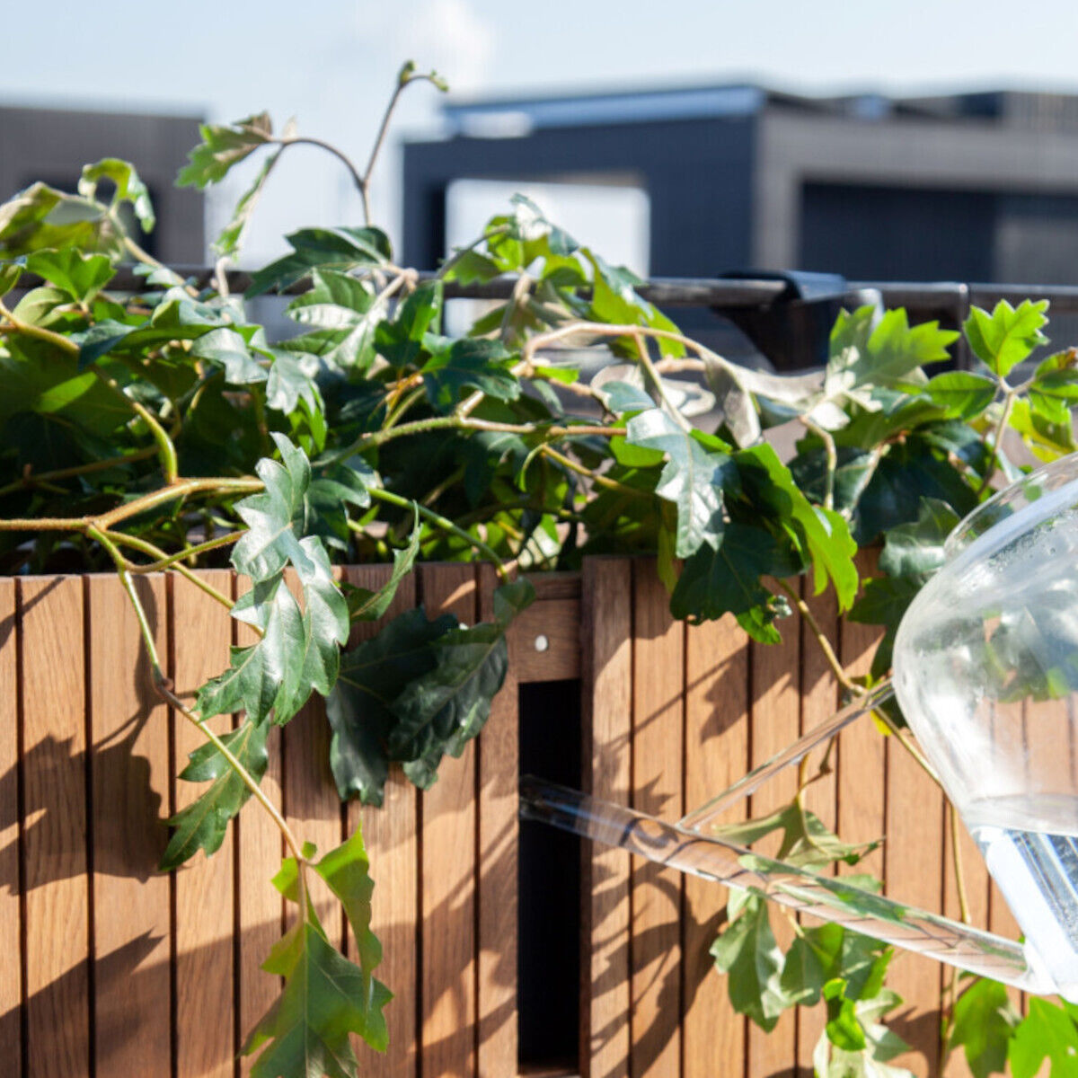 Holzähnliches Pflanzgefäß mit üppigen grünen Pflanzen auf einer Terrasse, vor einem verschwommenen städtischen Hintergrund.