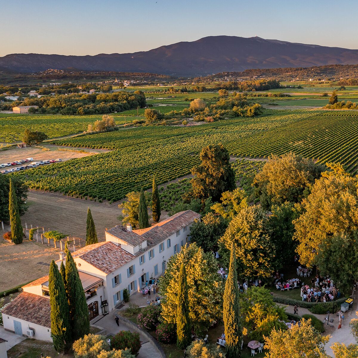 Luftaufnahme eines großen Weinguts mit weitläufigen Weinbergen, umgeben von Bäumen und grüner Natur. Im Vordergrund befindet sich ein elegantes, helles Gutshaus mit mediterranem Flair. Mehrere Menschen haben sich auf dem Gelände versammelt. Im Hintergrund erstrecken sich Felder und Hügel. Der Himmel ist klar, die Stimmung sommerlich. Diese Szene vermittelt ein Gefühl von Gastfreundschaft und ländlicher Idylle.