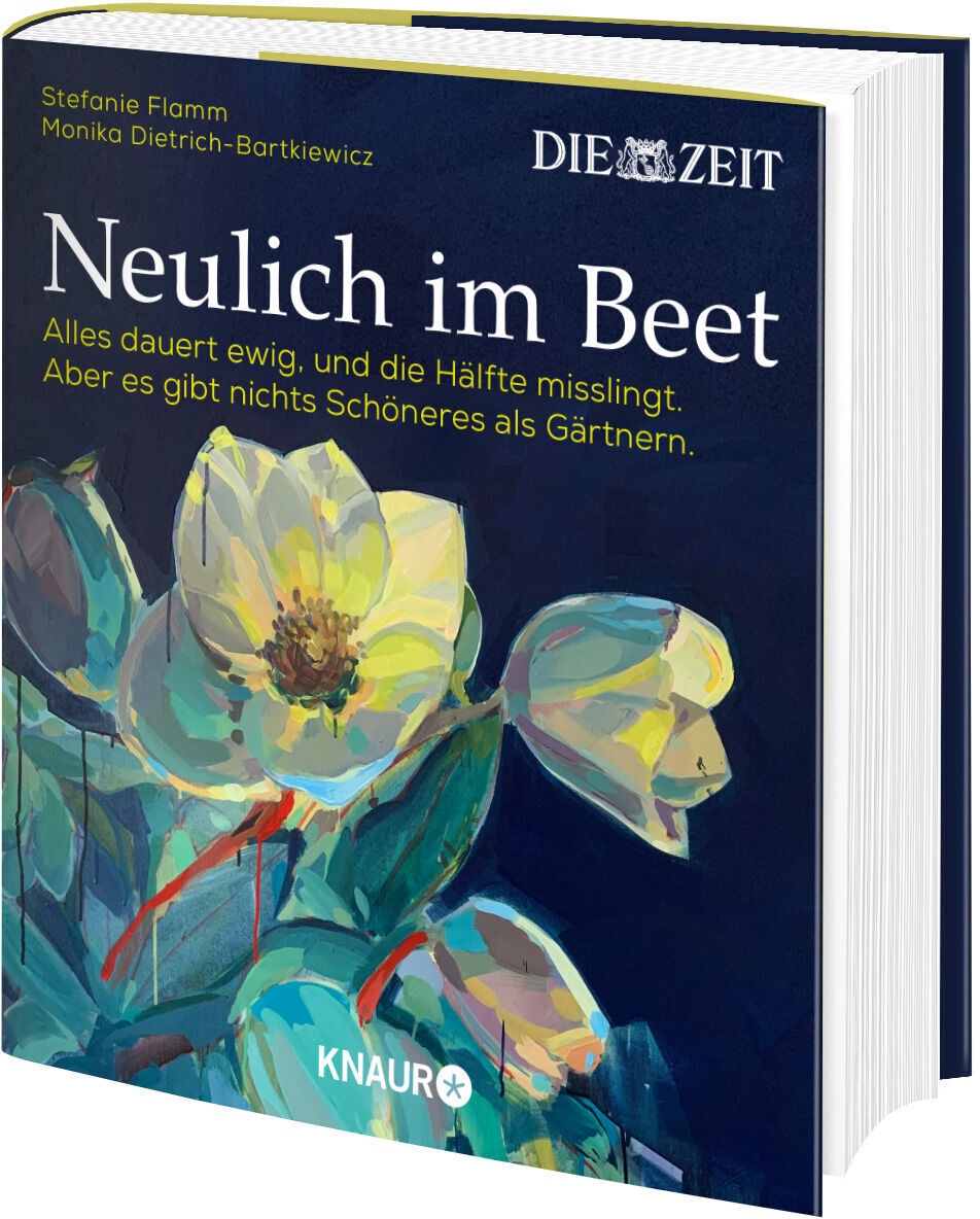Das Buch 'Neulich im Beet' von Stefanie Flamm und Monika Dietrich-Bartkewicz. Der Einband zeigt gemalte Blumen in Grün, Gelb und Blau auf dunklem Hintergrund.