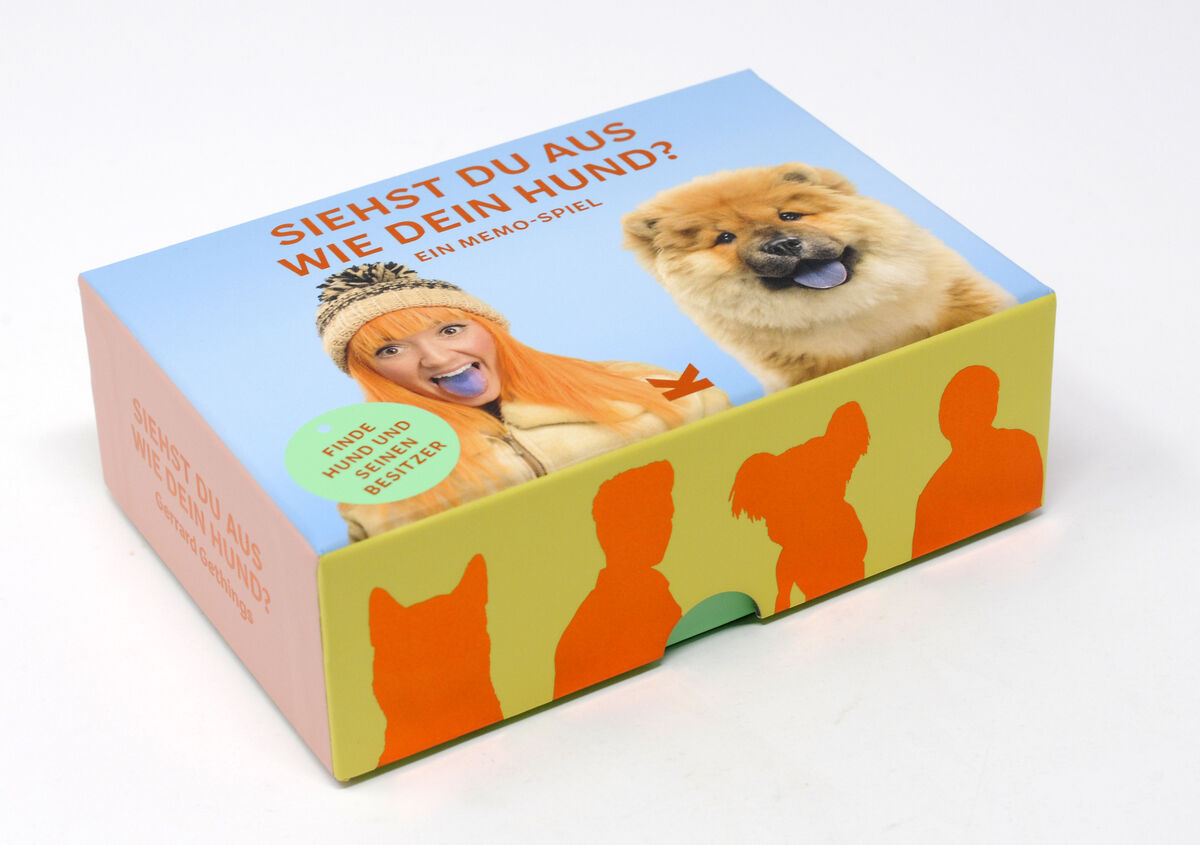 Verpackung des Memo-Spiels 'Siehst du aus wie dein Hund?‘. Die Box zeigt eine Frau und einen Hund mit herausgestreckter blauer Zunge. Unterhalb des Bildes befinden sich farbenfrohe Silhouetten von Menschen und einem Hund.