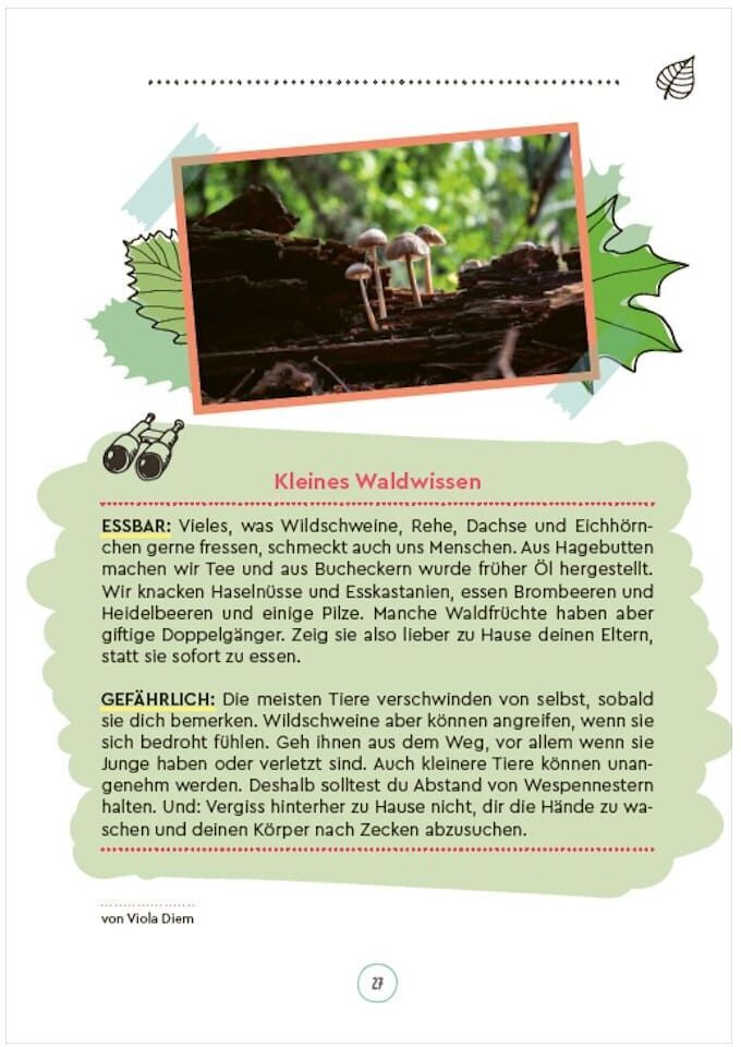 Zeitschriftenseite aus dem ZEIT LEO-Outdoor-Erlebnisbuch zeigt eine Beschreibung von essbaren und gefährlichen Pilzen im Wald. Oben ist ein Foto von Pilzen auf dem Waldboden. Die Seite ist mit Illustrationen von Blättern verziert.