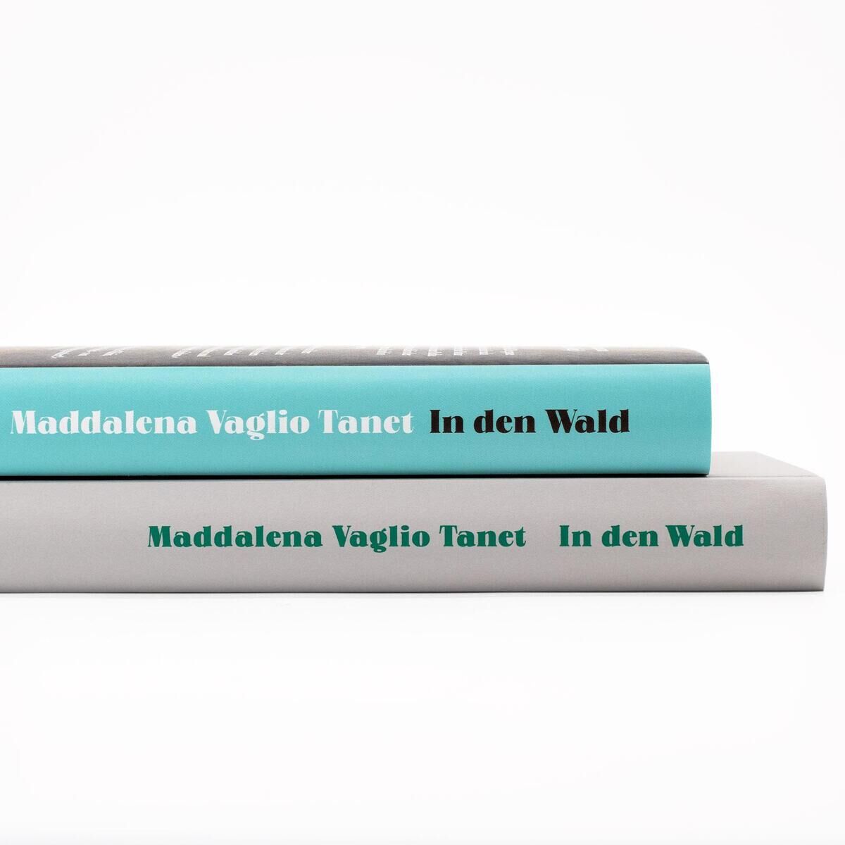 Innenansicht zu Vaglio Tanet, M: In den Wald