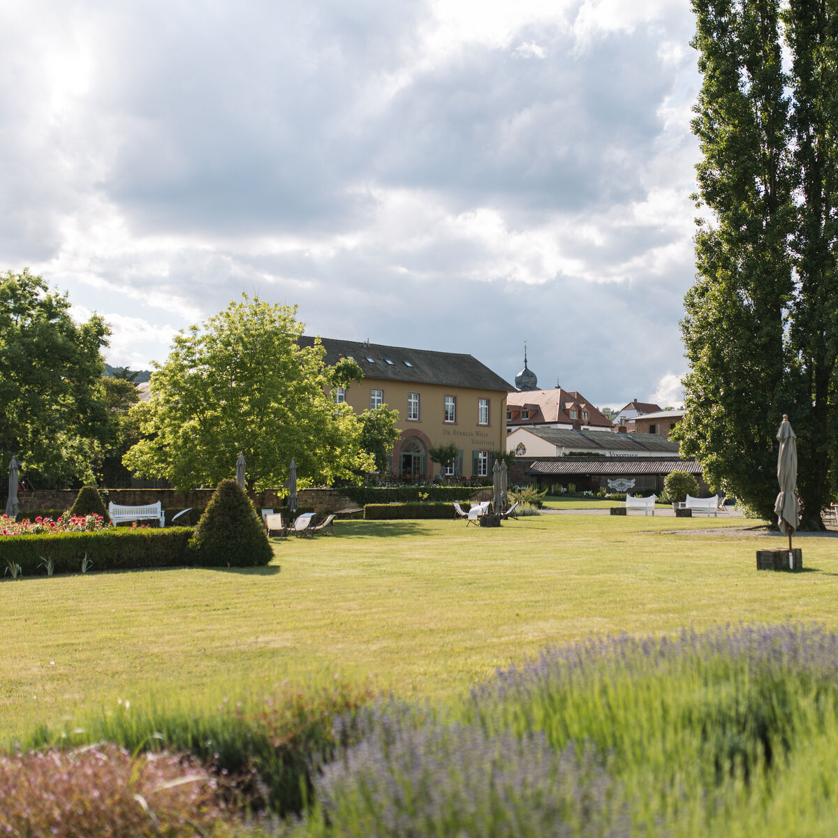 Weitläufiger Garten eines Weinguts mit Liegestühlen und geschlossenen Sonnenschirmen auf einer großen Rasenfläche; im Hintergrund historische Gebäude und hohe Bäume unter teils bewölktem Himmel.