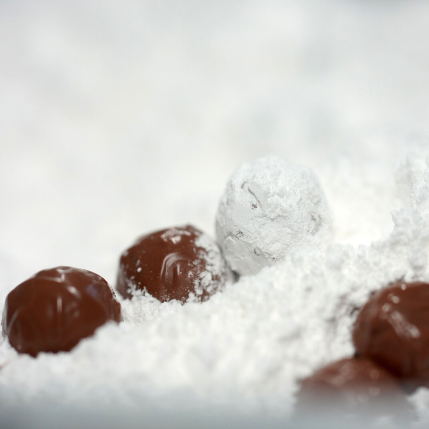 Das Bild zeigt mehrere Champagner-Trüffel der Marke Gmeiner in einer Streuung aus weißem Puderzucker. Einige Pralinen sind von brauner Schokolade umhüllt, eine ist vollständig mit Puderzucker bedeckt. Die feine Holzbox ist nicht sichtbar.