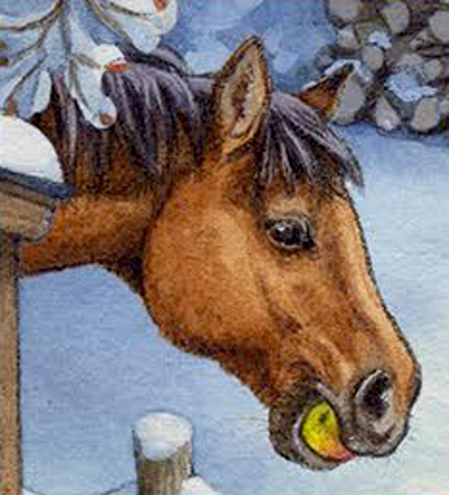 Innenansicht zu Sound-Adventskalender - Unsere Tiere auf dem Land