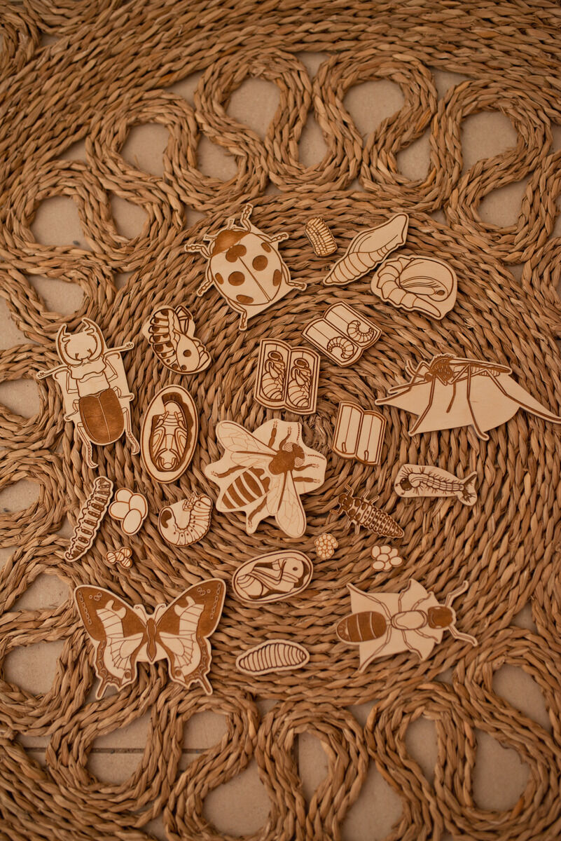 Ein Holzpuzzle mit dem Titel »Leben des Käfers«, das verschiedene detailreiche Insekten auf einer geflochtenen Unterlage zeigt. Dieses umweltfreundliche Spielzeug ist ideal für Kinder und Erwachsene, die Natur und Kreativität lieben. Perfekt für Anlässe wie Ostern und Geburtstage.