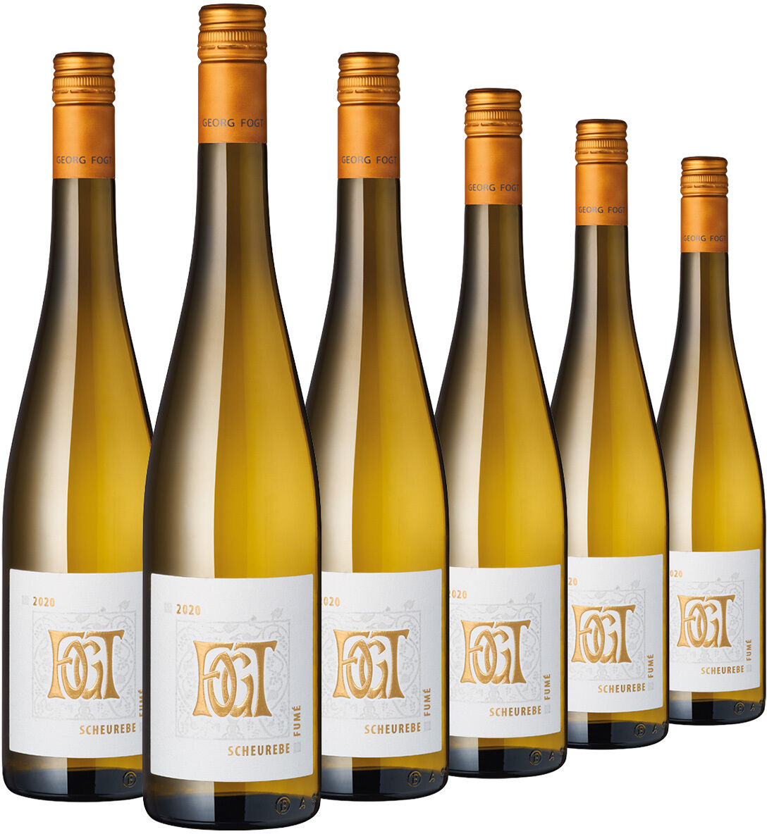 Freigestelltes Produktfoto eines 6er-Pakets Scheurebe Fumé vom Weingut Georg Fogt. Sechs schlanke, goldgelb gefüllte Weißweinflaschen stehen gestaffelt auf weißem Grund. Sie haben orange Schraubverschlüsse und weiße Etiketten mit großem goldfarbenem Fogt-Monogramm, Jahrgang 2025 und Aufschrift „Scheurebe“.