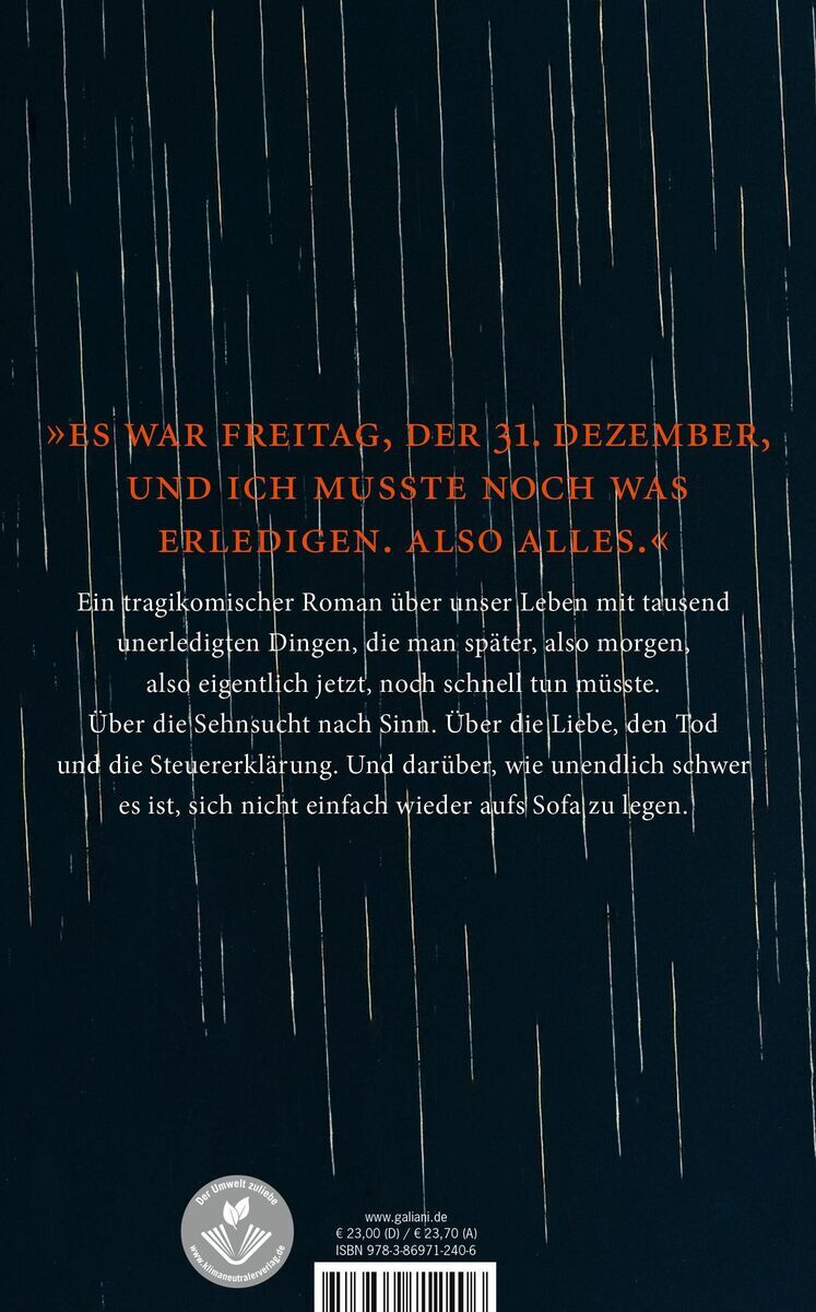 Rückseite des Buches 'Kleine Probleme' von Nele Pollatschek, mit einem Zitat in roten Buchstaben und einem Klappentext in weißen Buchstaben auf einem dunkelblauen Hintergrund.
