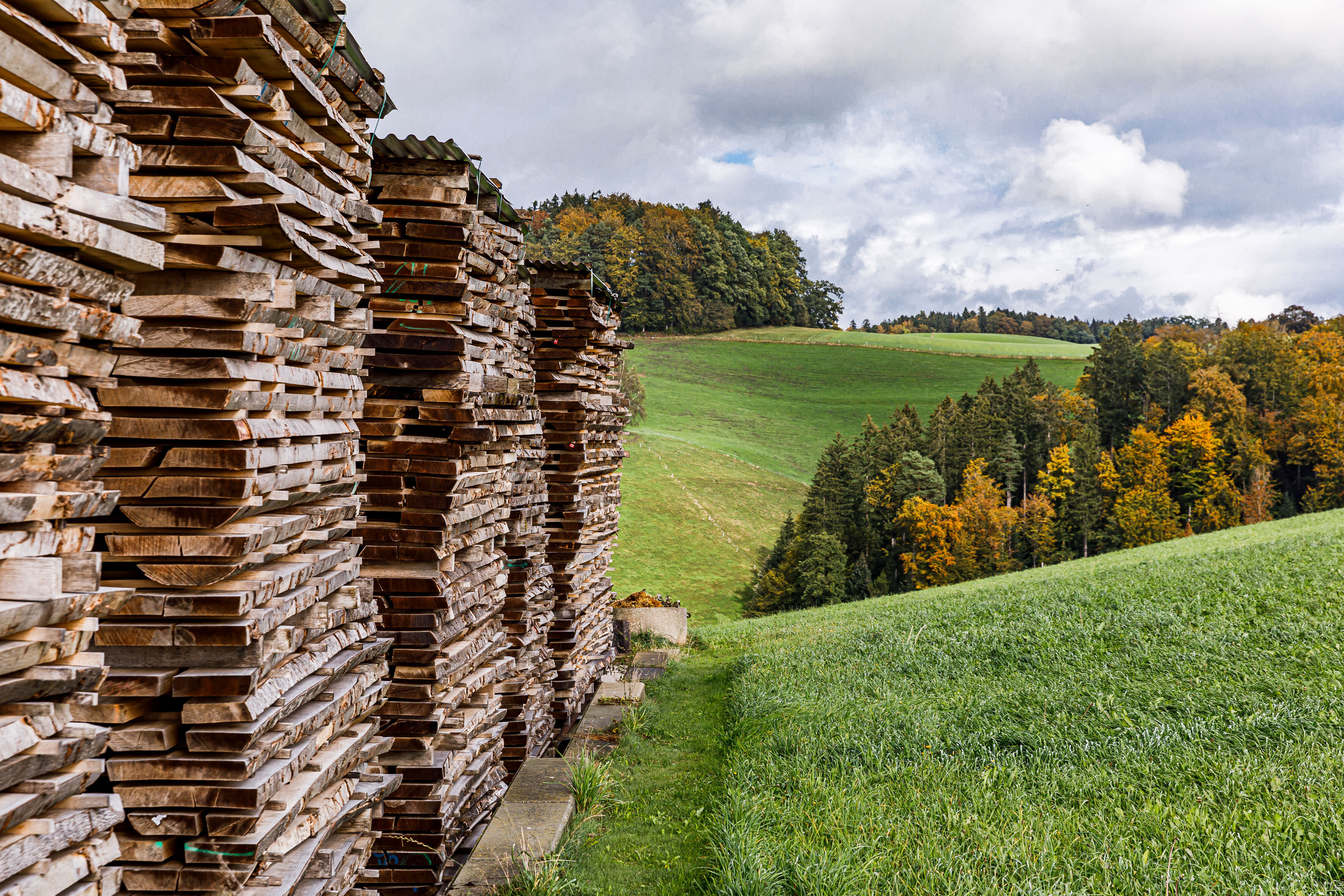 Gestapelte Holzbohlen neben einer grünen Wiese mit herbstlich gefärbten Bäumen unter bewölktem Himmel