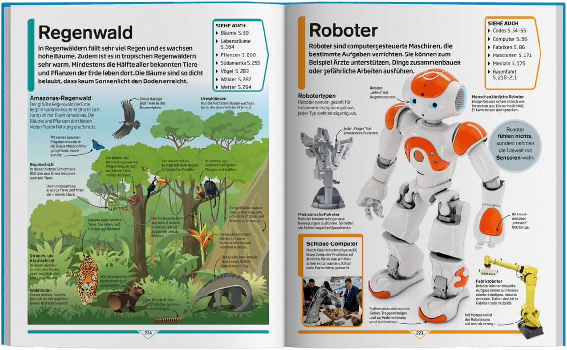 Aufgeschlagenes Buch zeigt bunte Illustrationen und Texte über den Regenwald und Roboter, geeignet für Grundschulkinder.